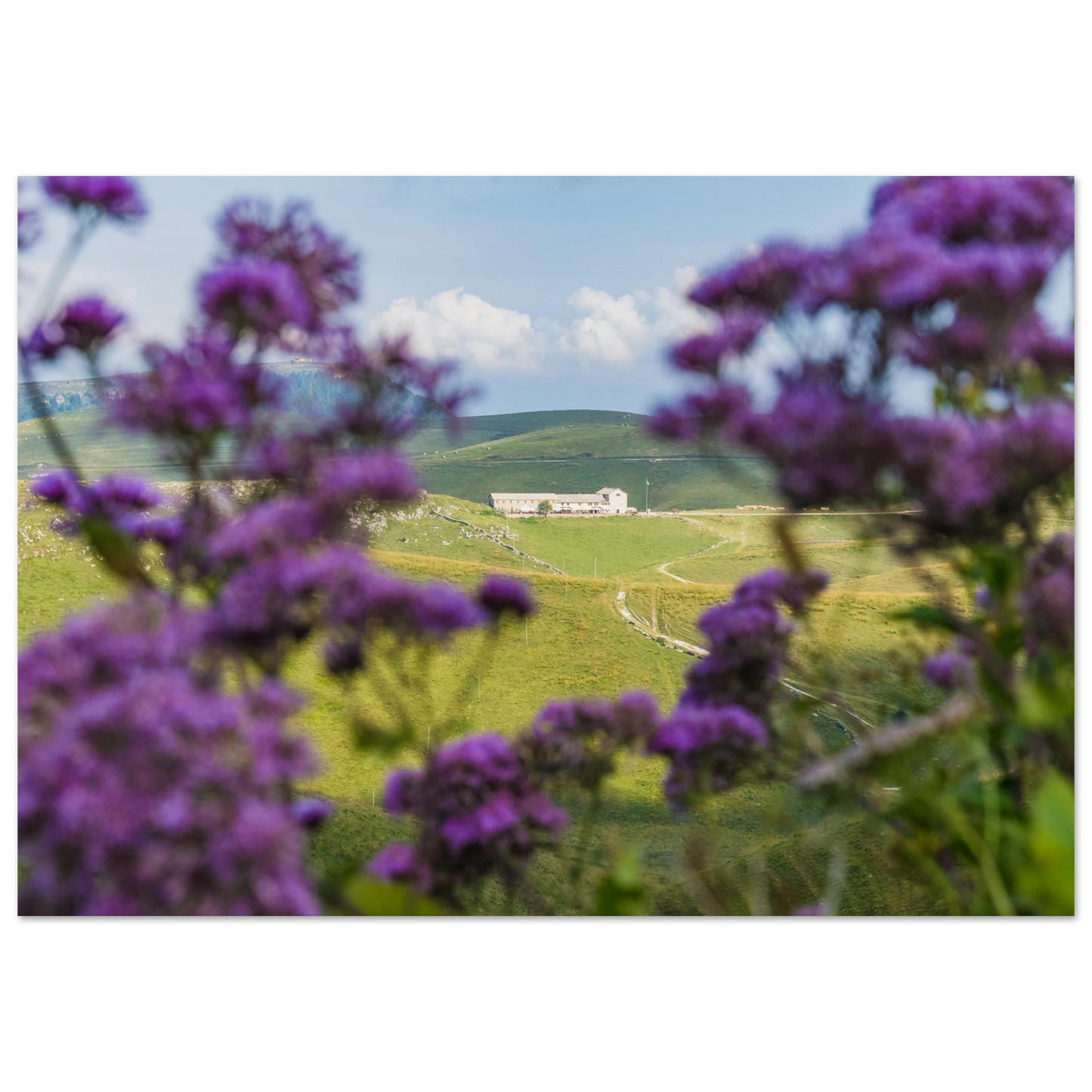 5c7f795d-4a73-403f-ae4c-c3be9a1d8f57