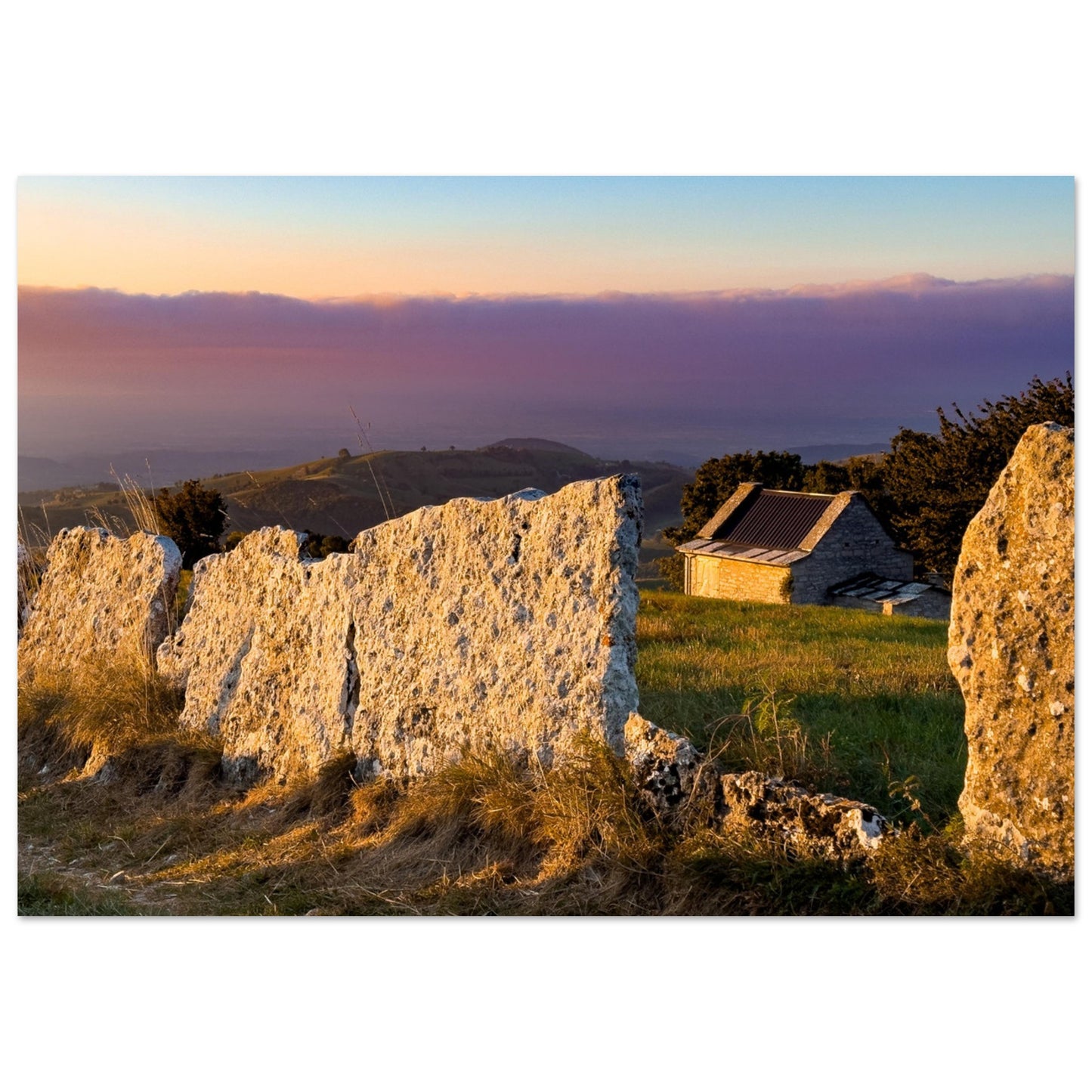 f86fe75d-f44f-4a50-bac8-271dcb4a9b78