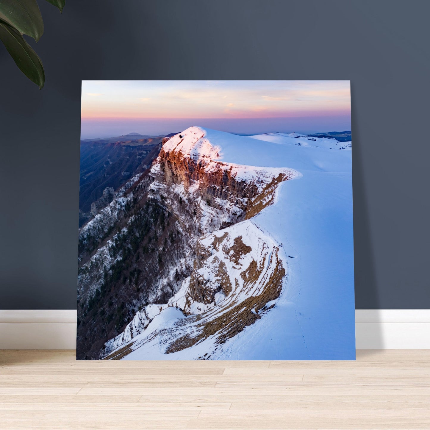 009586a8-c5d6-43a7-8c69-dec80bcef14c