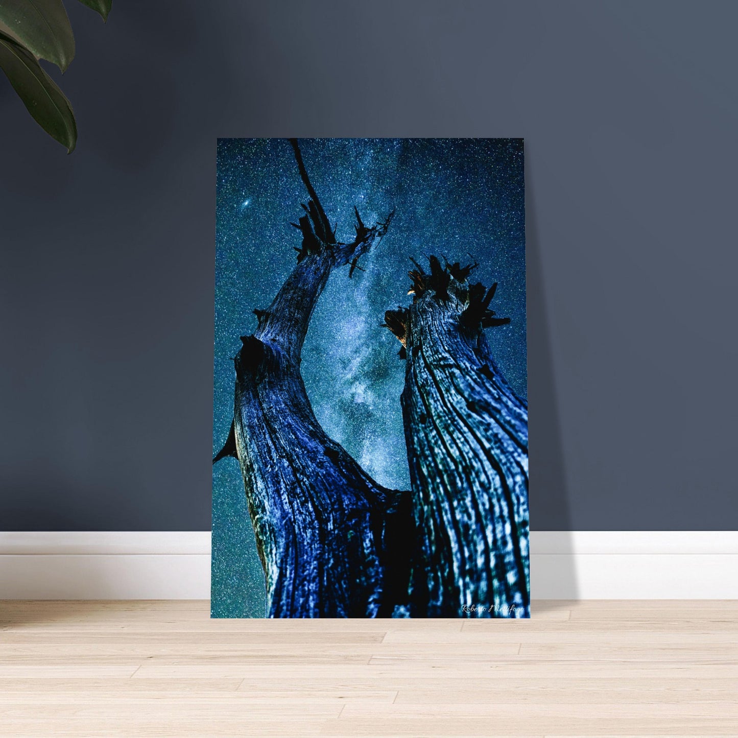 0970b3f6-d7b6-41c4-84ae-1f60043908bf