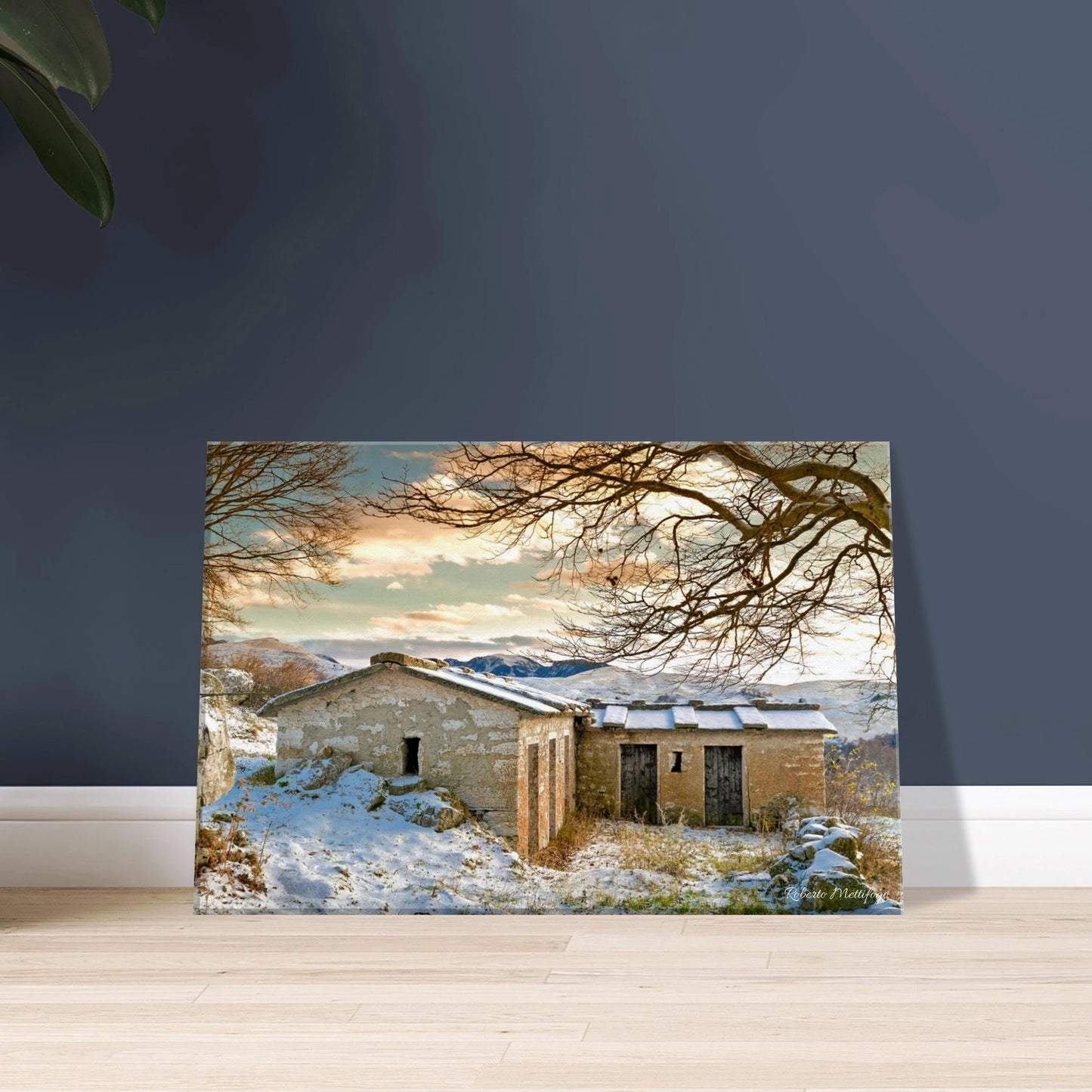 0bafecc4-8da1-4698-8498-220f8da62c43