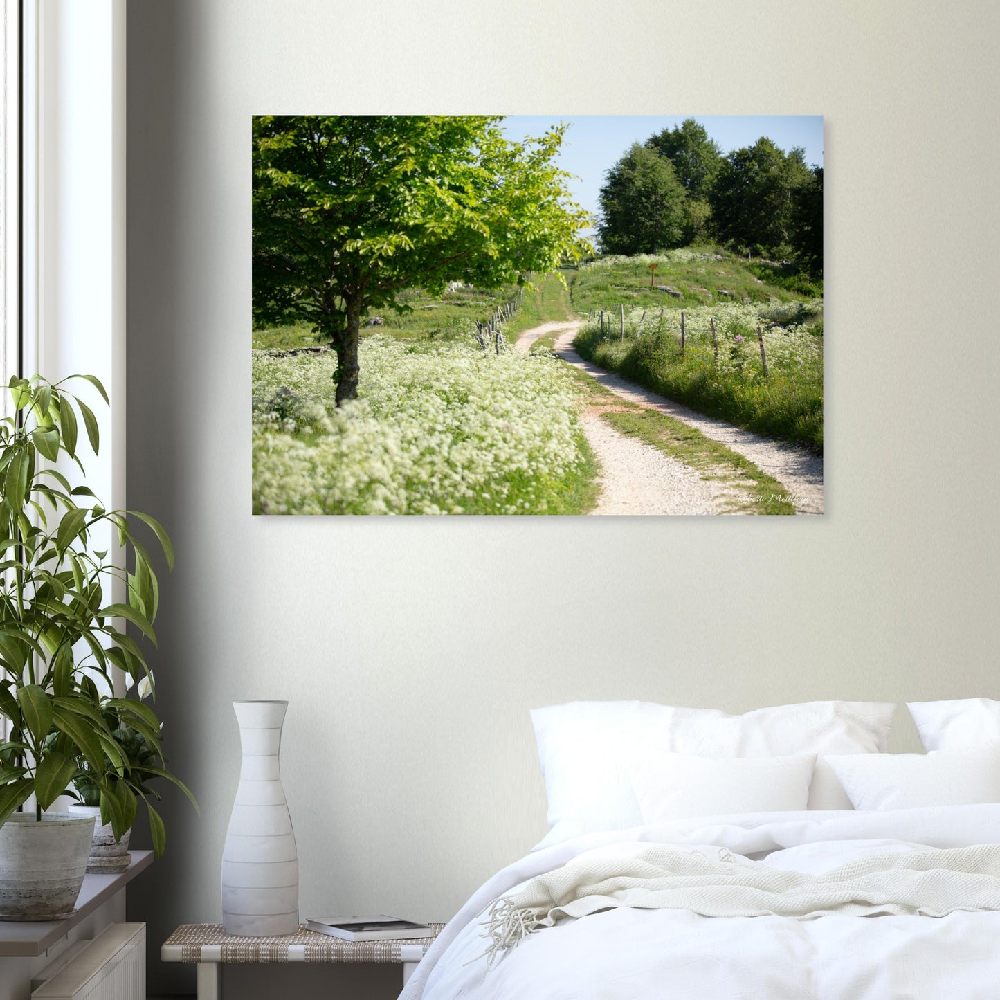 115b829d-2111-430b-b83a-7391e135d9f4