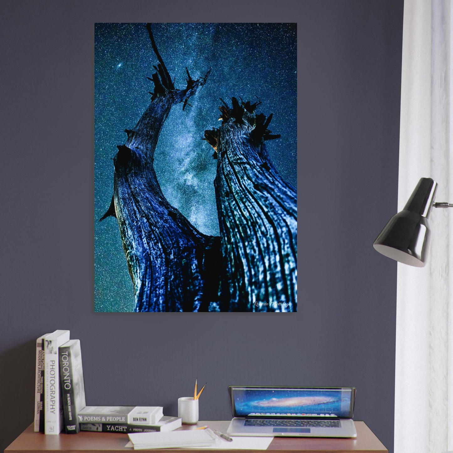 116e6a05-526e-46da-88bc-600b59b738cd