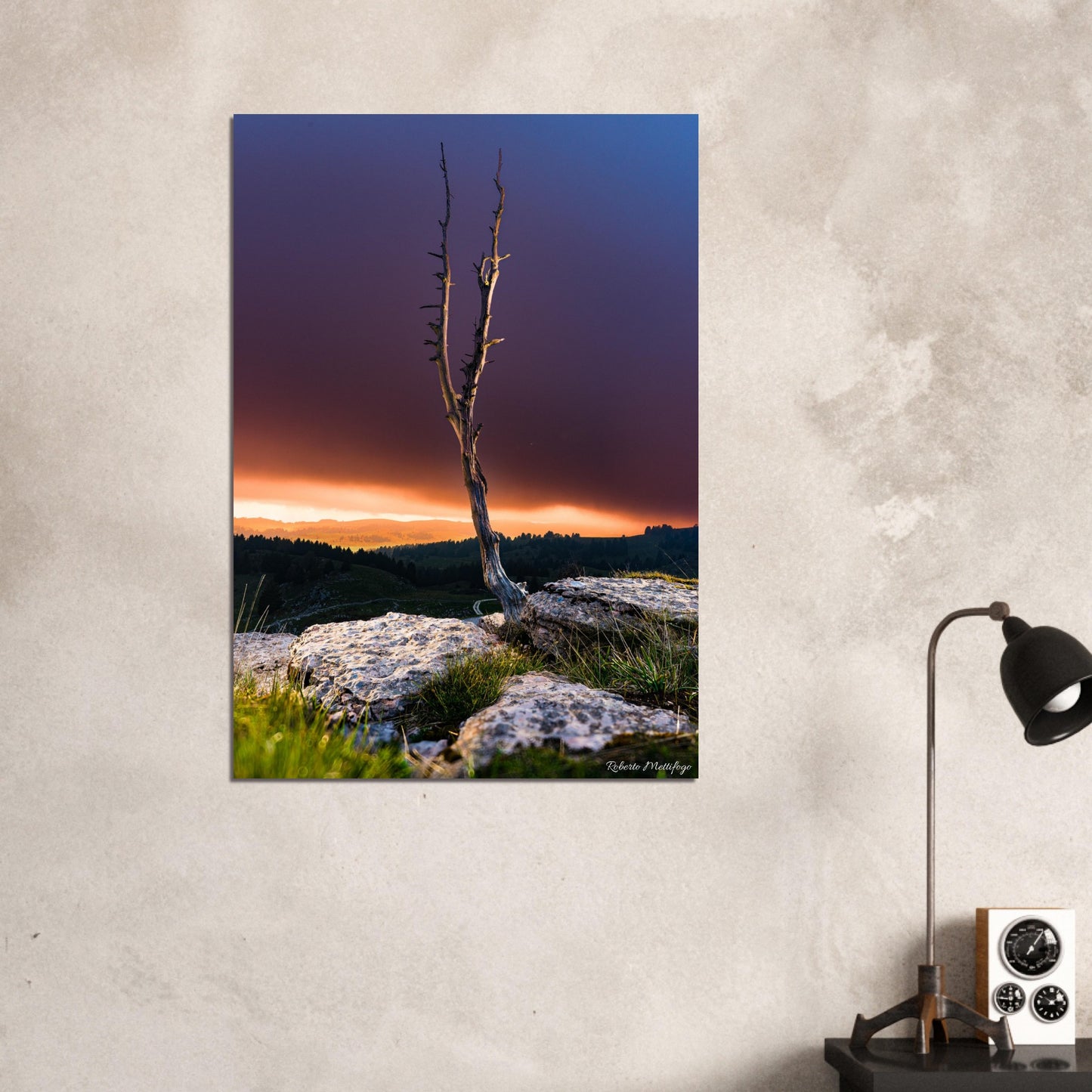 14f71343-fcc4-4c2e-b579-e38884db8f18