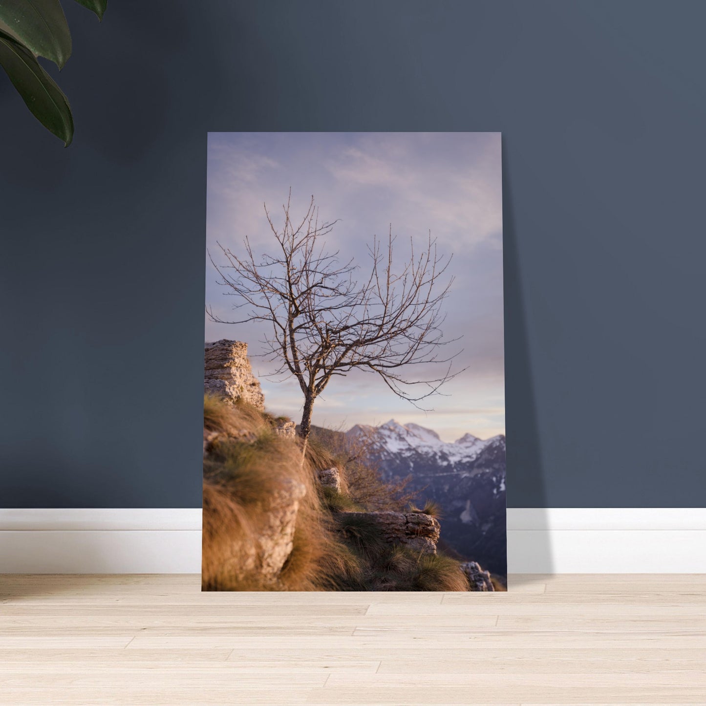 1507bc79-0f6f-4f2d-8053-41d501c3b2b8