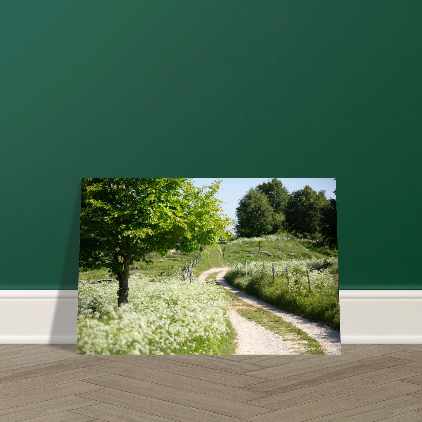 1dcf2e13-da9e-4456-a776-3ccabd93d425