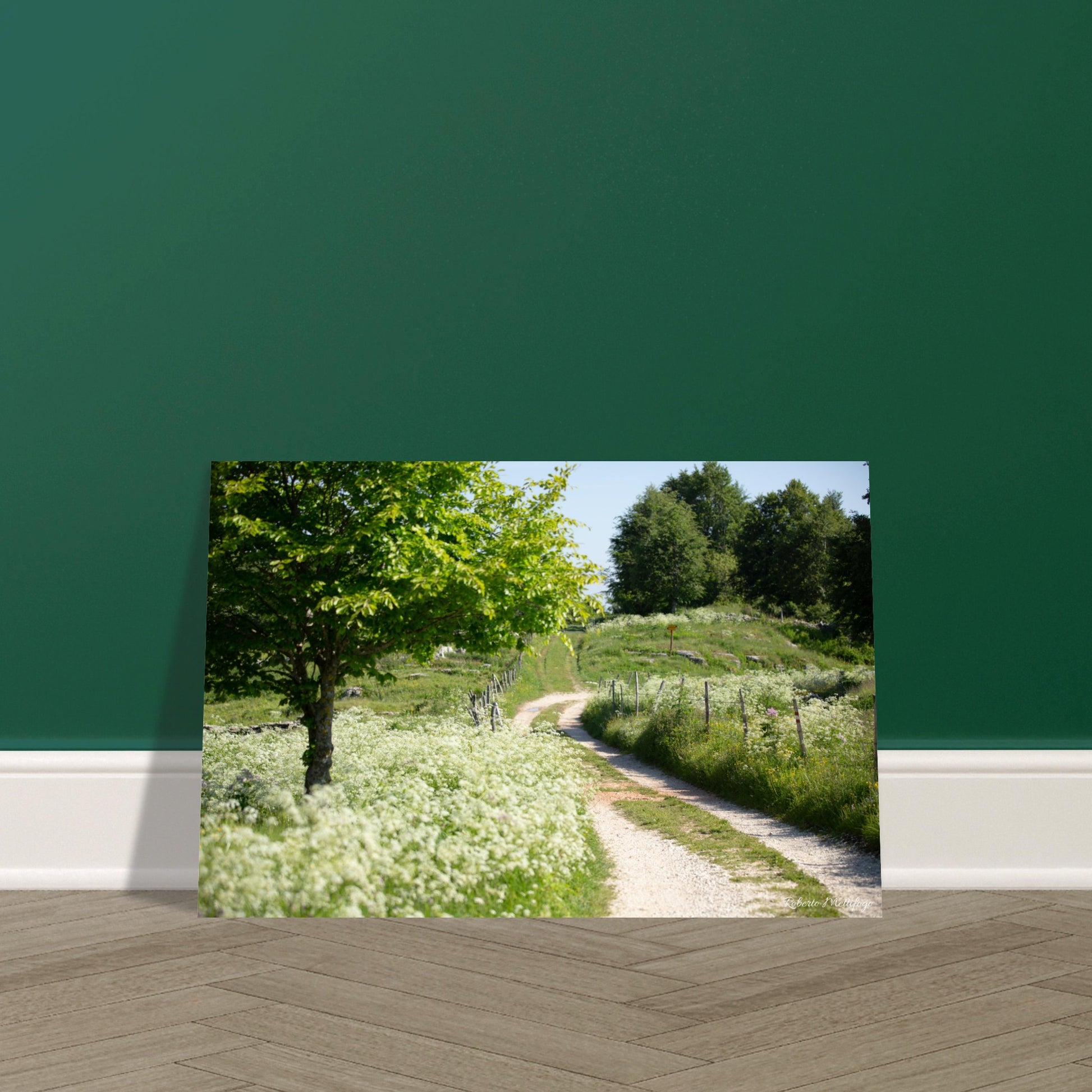 1dcf2e13-da9e-4456-a776-3ccabd93d425