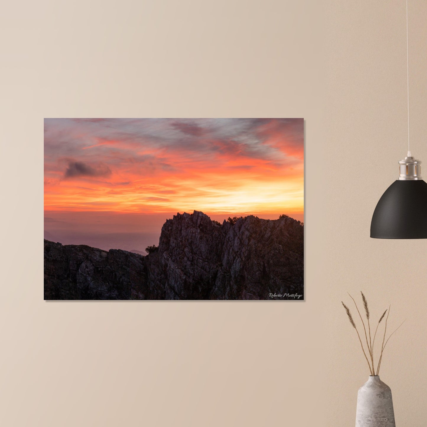 1e61cd80-d2bf-496c-a971-35c2723d4946