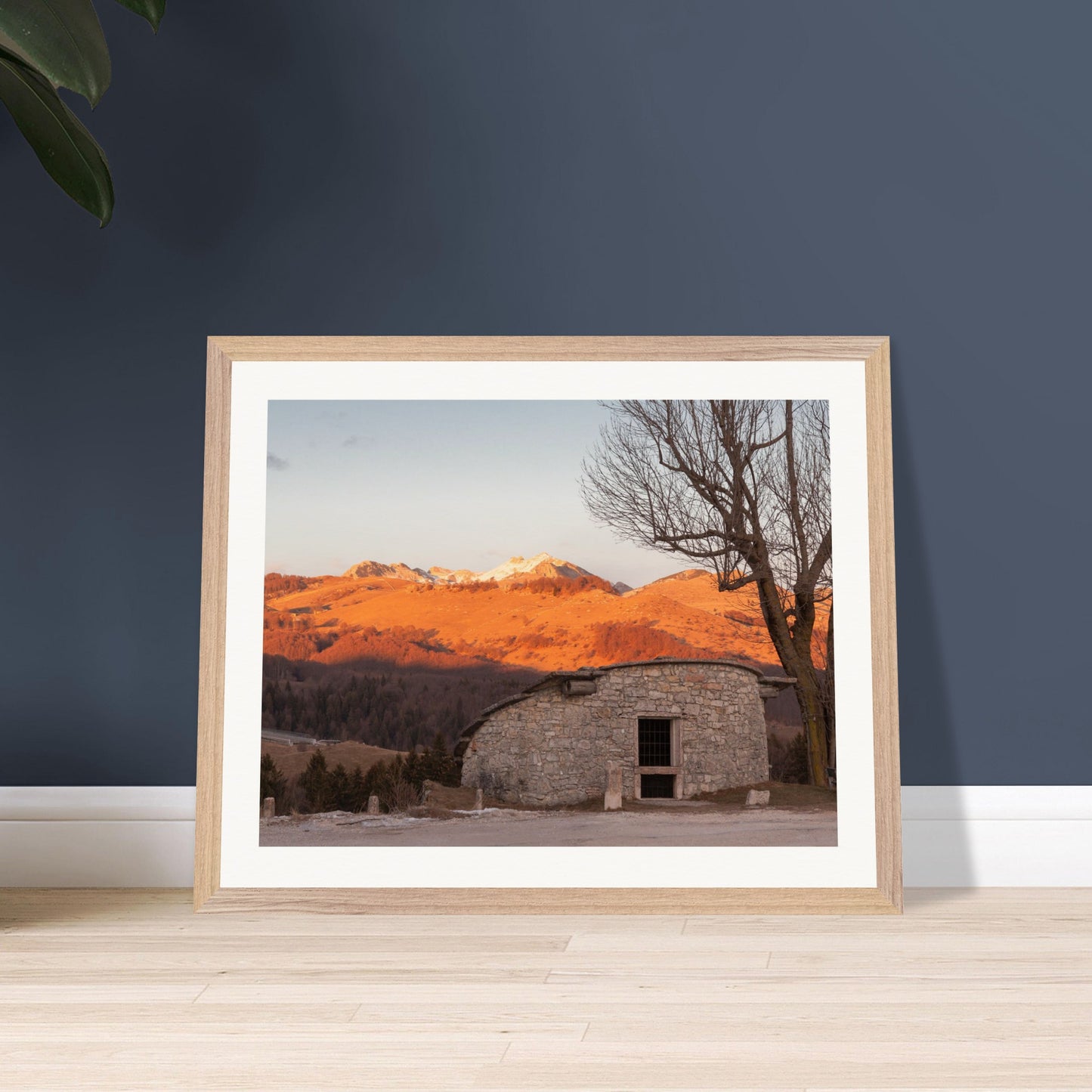 2b15966e-258d-45b3-846d-b49b0bd98fe4