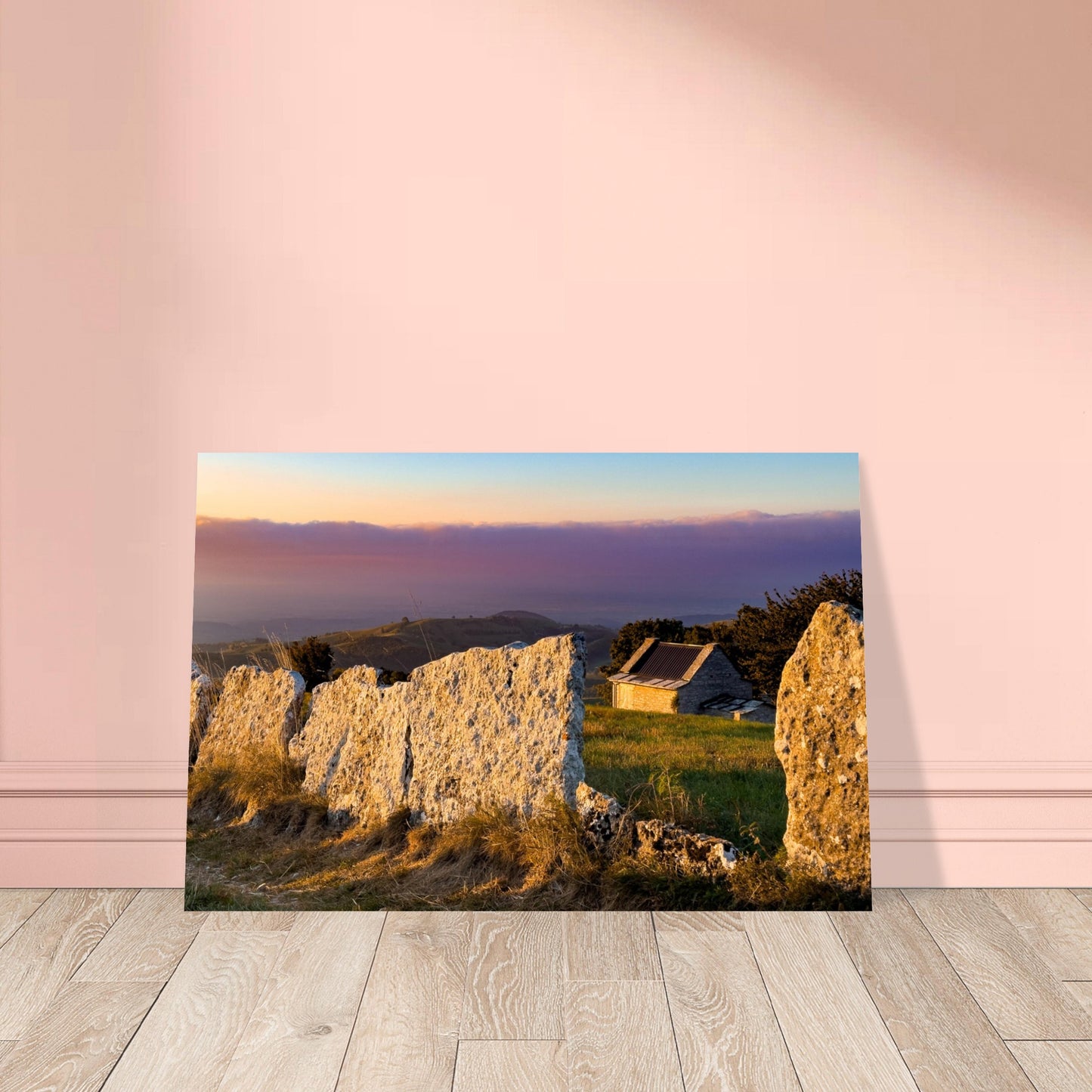 2faad548-7d93-49c4-b243-fe2e69431505