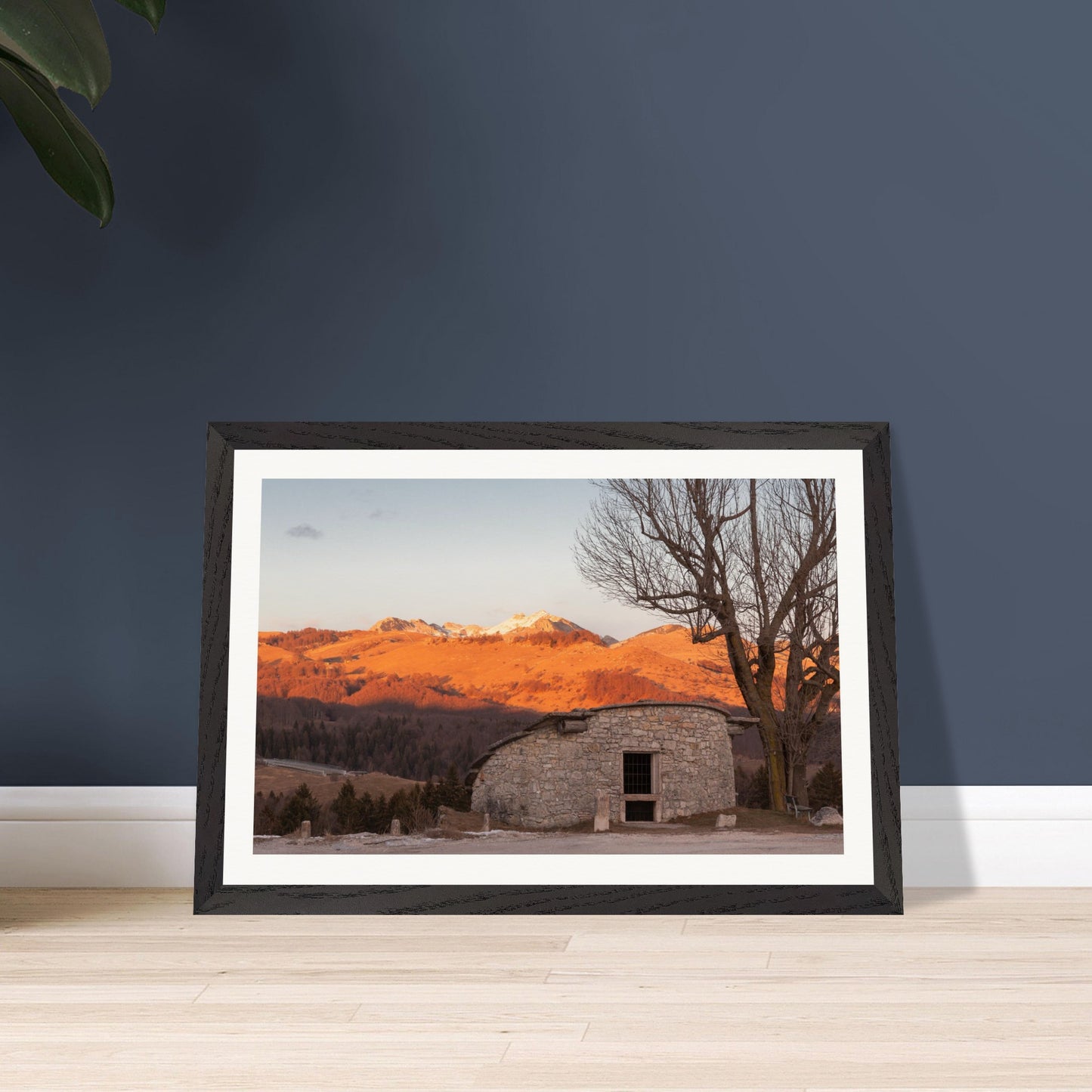 323ce7bc-36eb-4ded-92e9-7e126e60018c