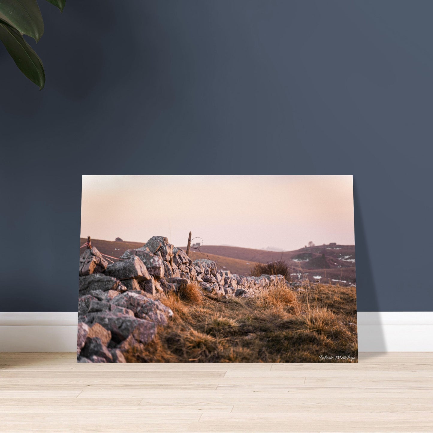 3317f36e-1682-426a-8ae1-2e9c0a2d0c3f