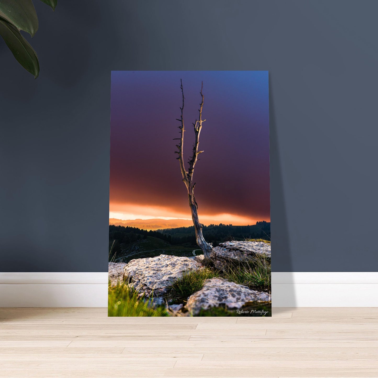 3484790c-e5bb-4789-9a5c-6de90a67a43d