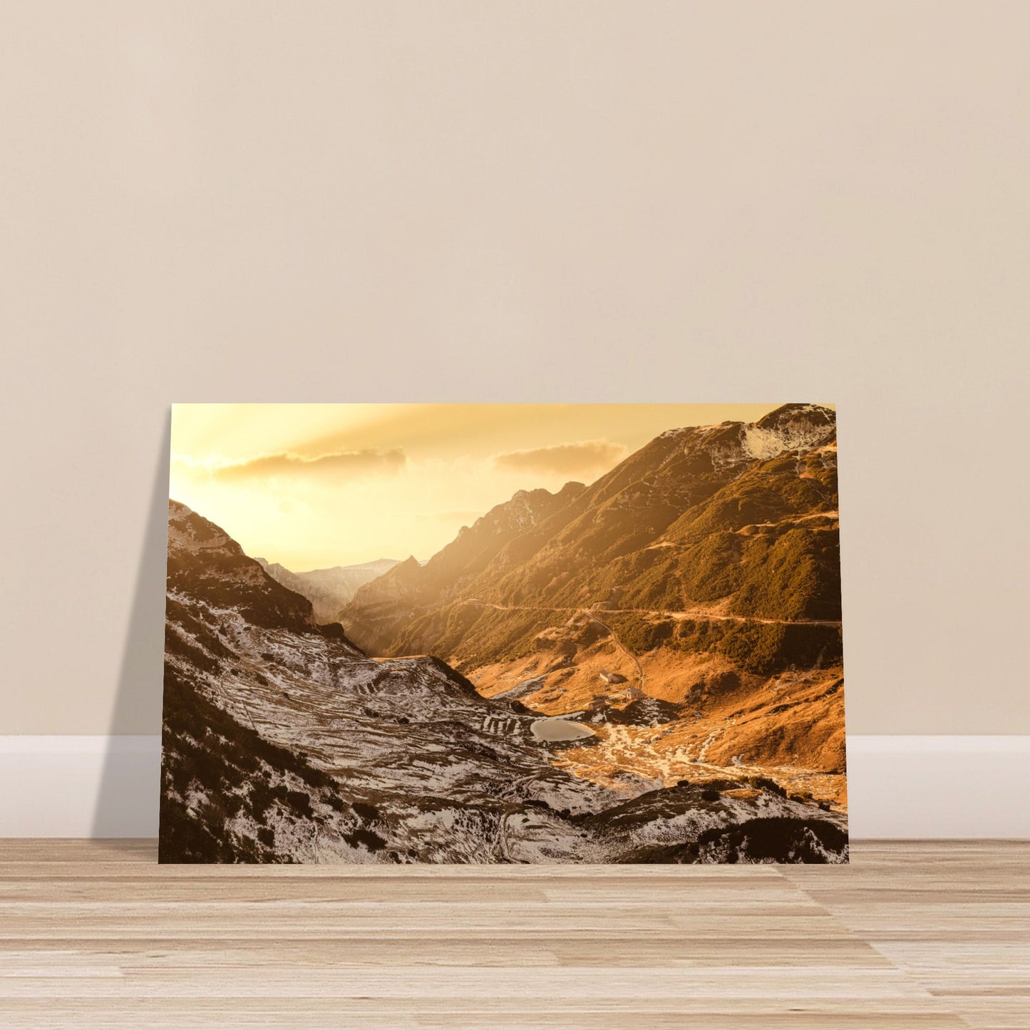 3ae6241f-ccea-442b-9852-4dcf5e377e49