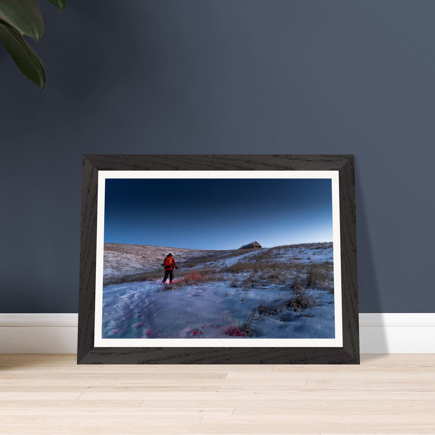 3b62e084-af4a-407f-9f40-7ee9da1e208e