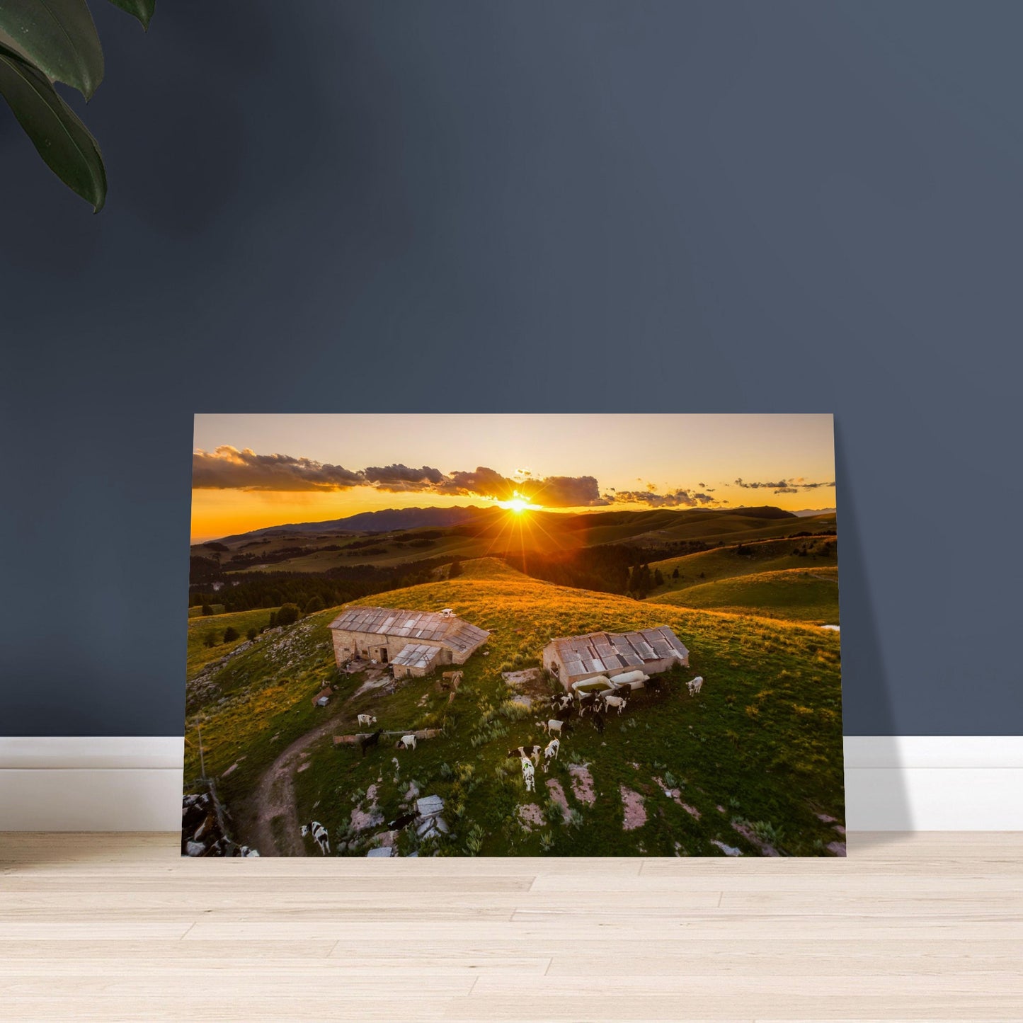 3c45bcd6-eac7-4b7a-ae26-10dec89a0af8