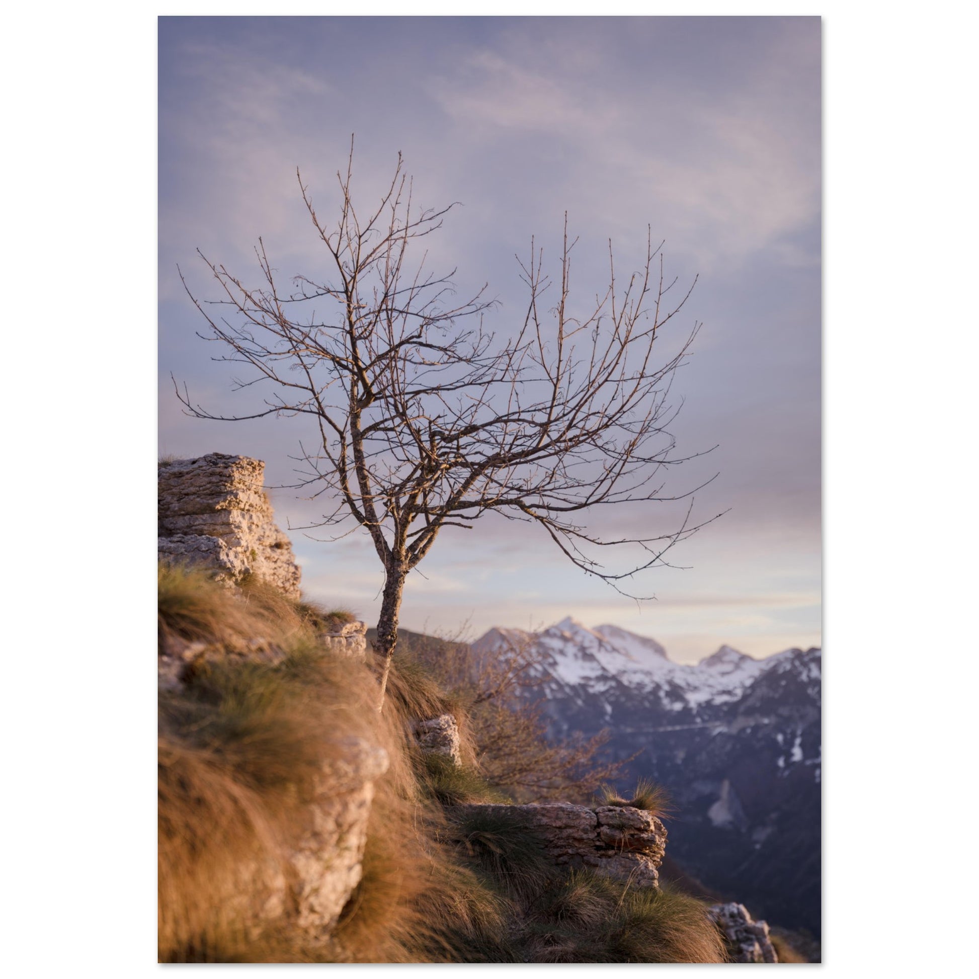 3ef64036-60a9-44b7-8e7b-7500e326de2d