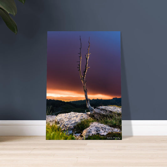 4b132f49-5cb0-4469-a344-7947d94bedc5