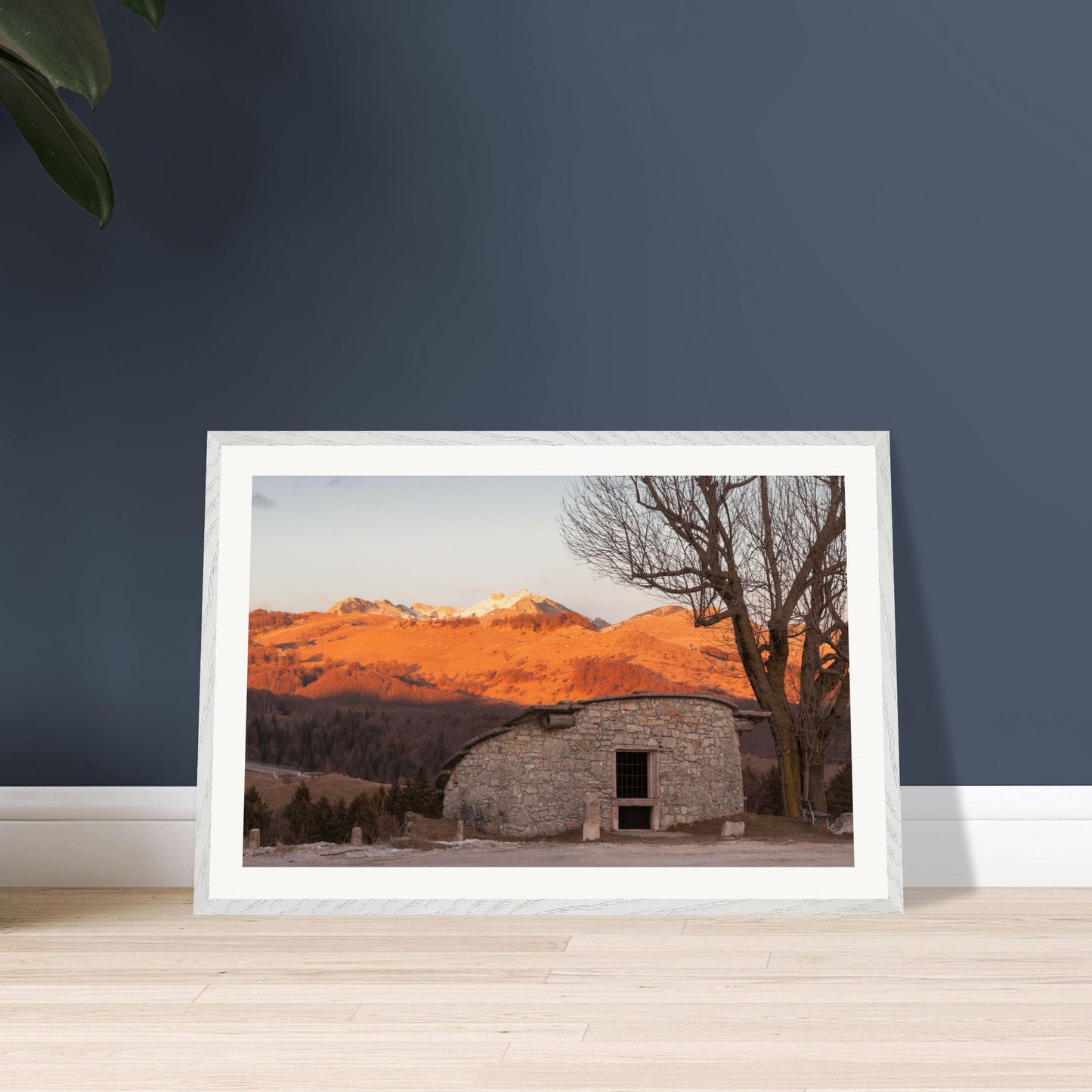 541e9c0d-7155-4cca-ba7d-22e00fa5e838