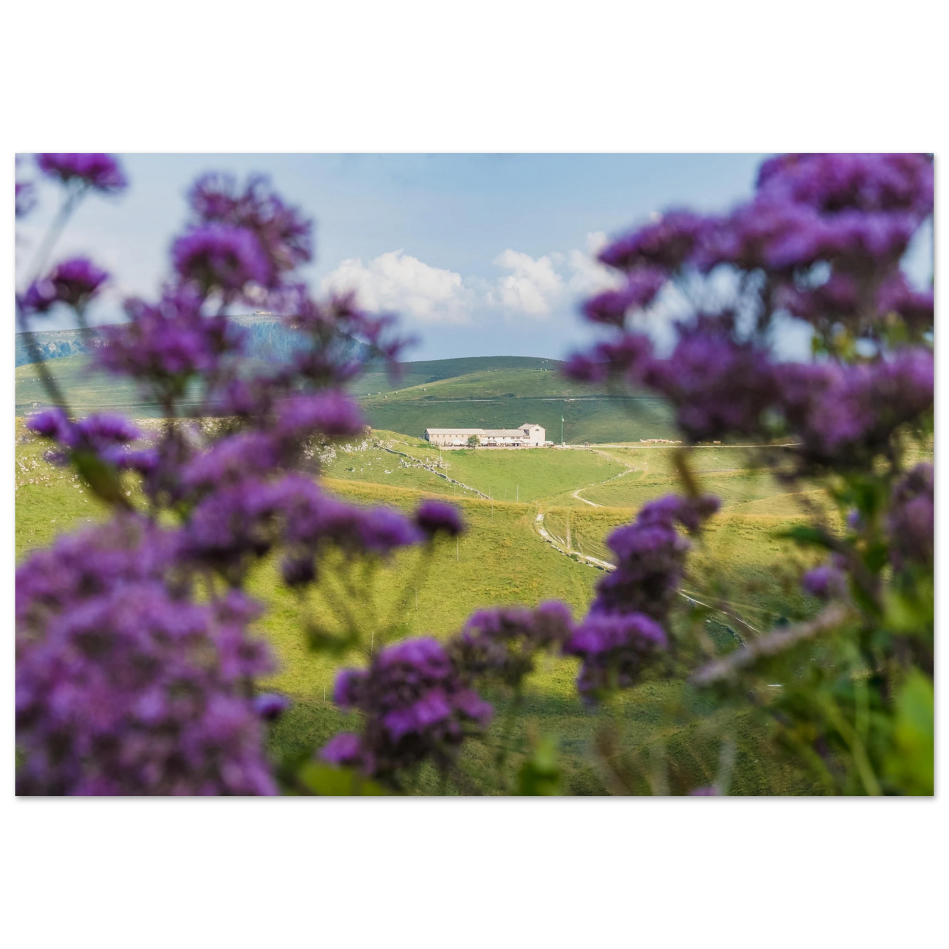 5c7f795d-4a73-403f-ae4c-c3be9a1d8f57