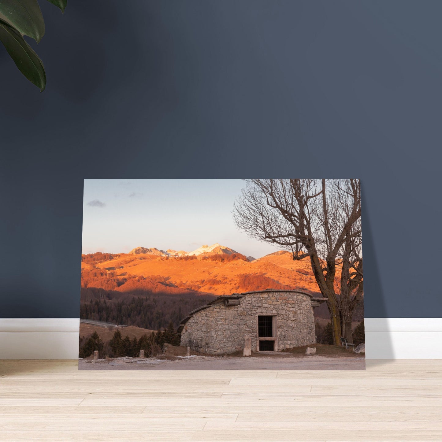 69b6ceb9-5b5a-4b19-b37f-9d25ff990995