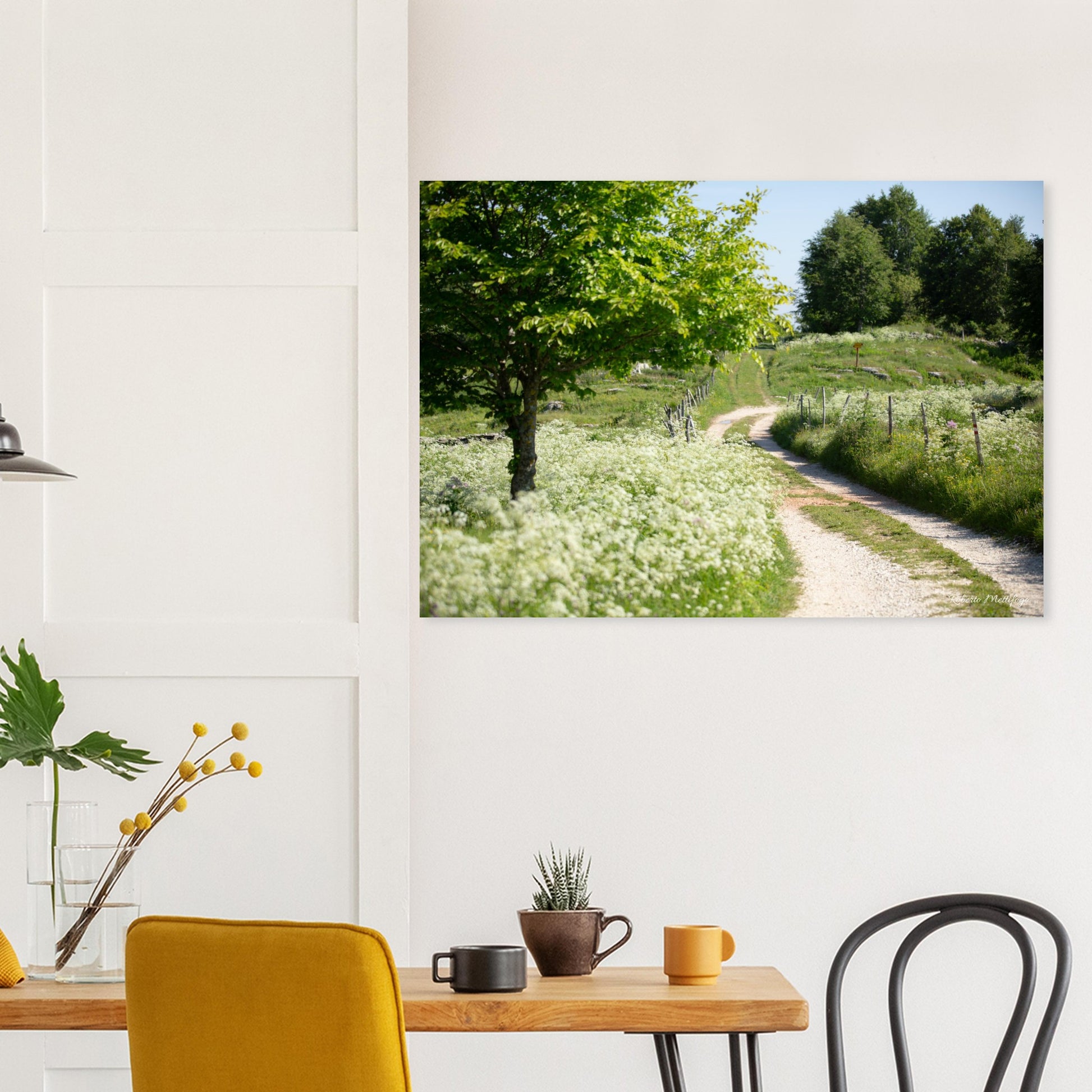 6cc8049e-2e11-4cc8-a579-4922c19c4805