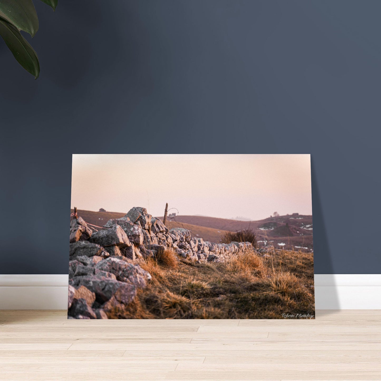 71d89344-09ad-4e7e-ad28-932d2b429e74