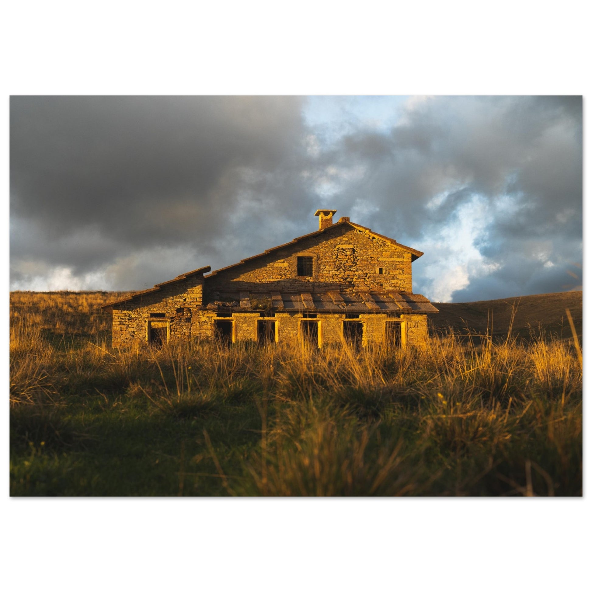 72d8323e-a26b-4f8e-8bf8-f1ac7539e7bc