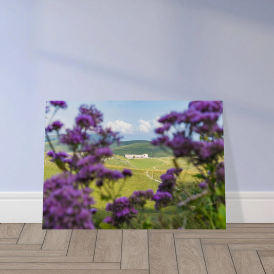 7b7fc905-5d8c-4baa-95ca-27f47404da34