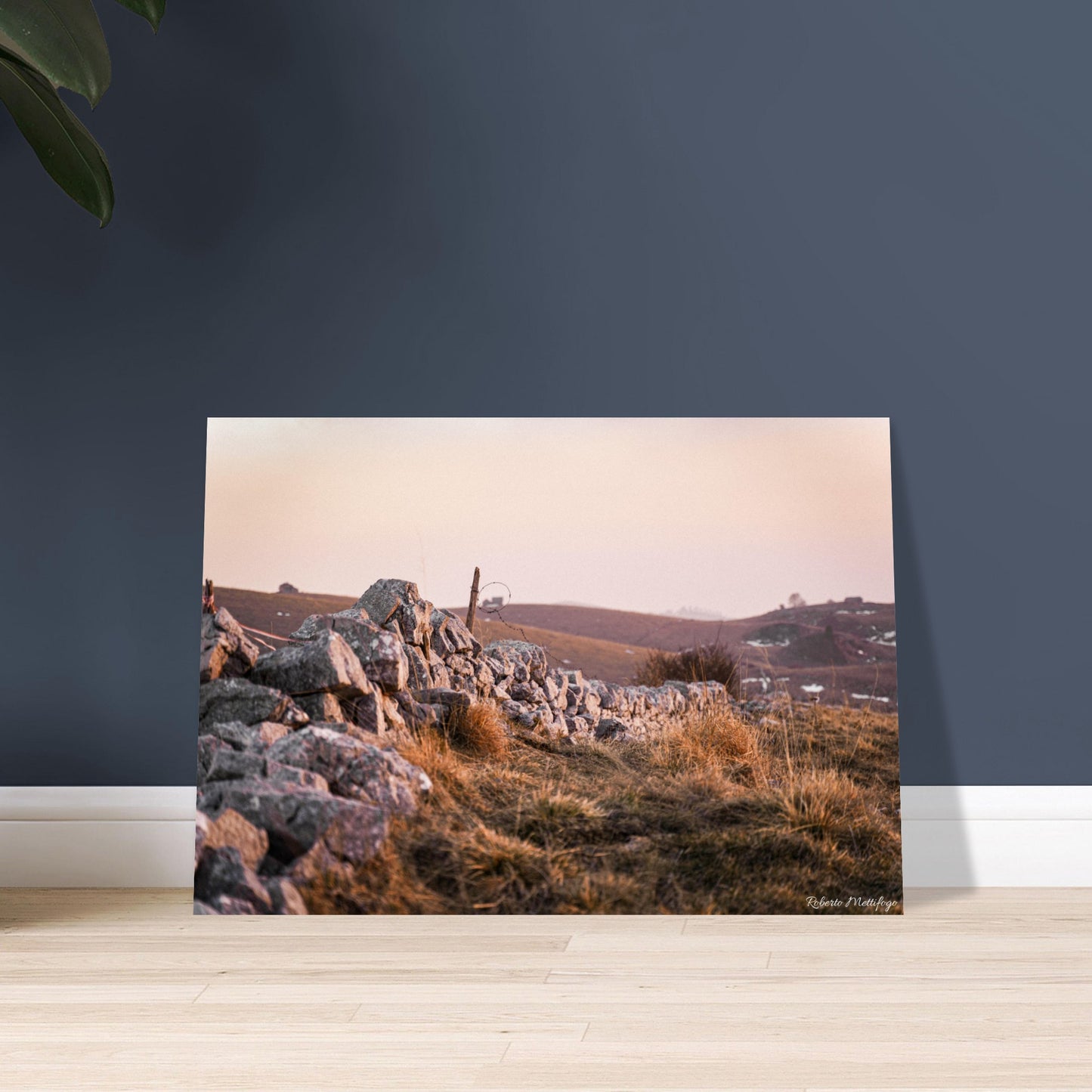 7fdd8292-45ae-4527-9d93-c08ca320f02c