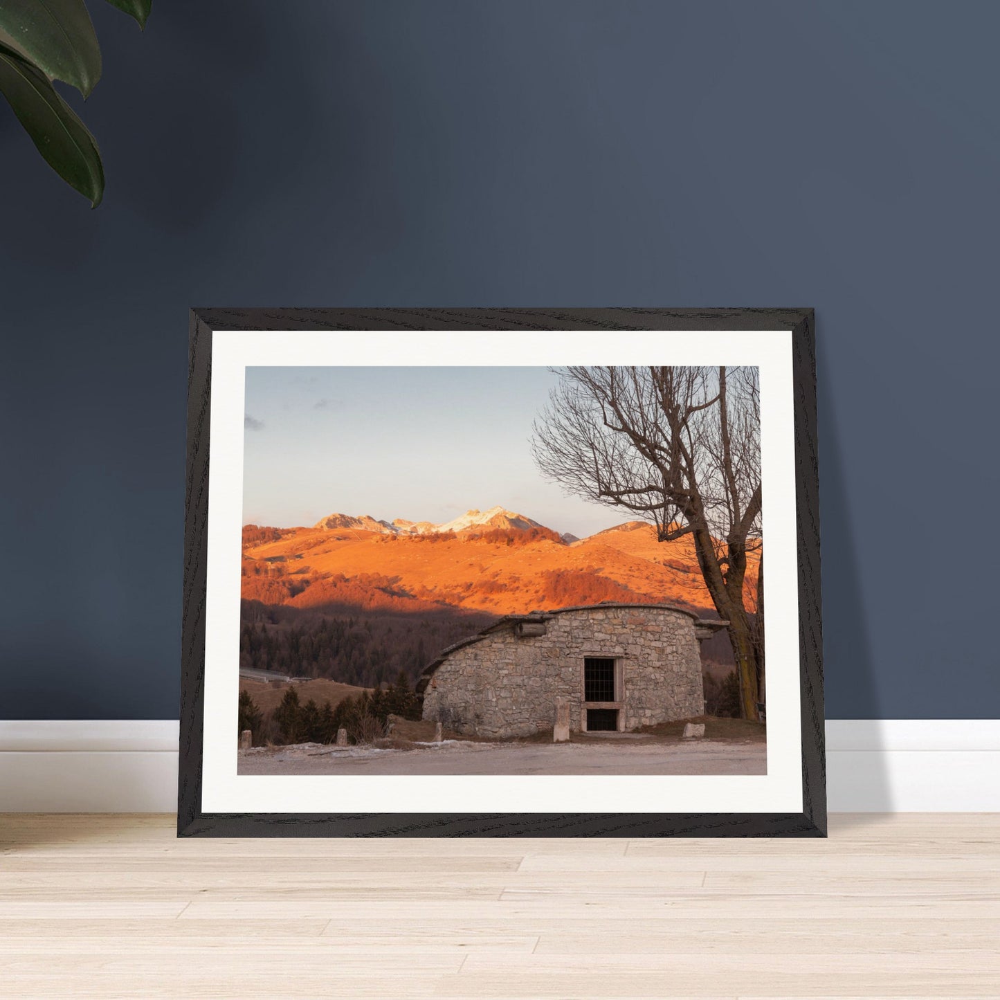 8d32aa9f-f13a-4cc1-85c2-e1f7295075fb