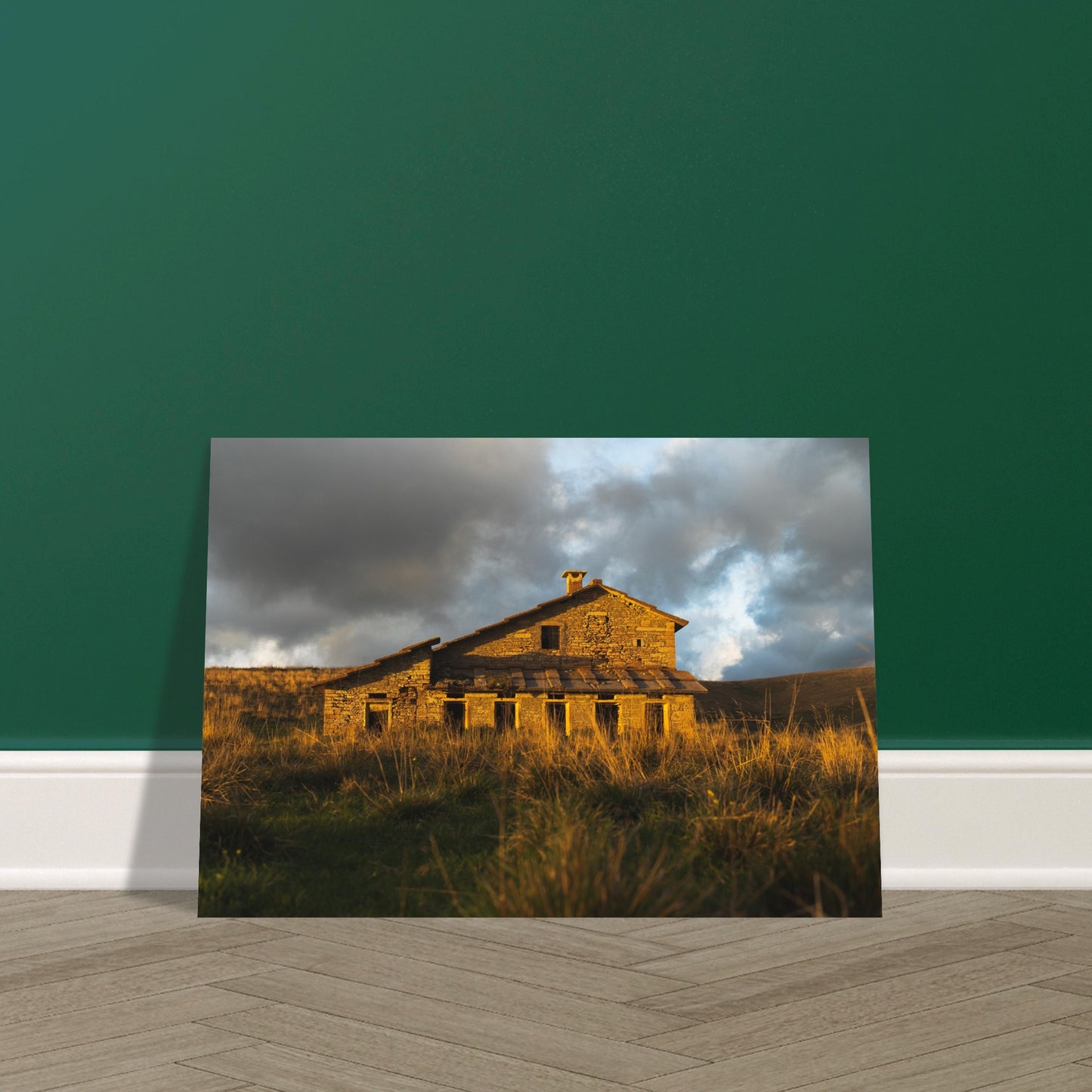 919dd00b-341d-4e35-97ce-7abd45a28245