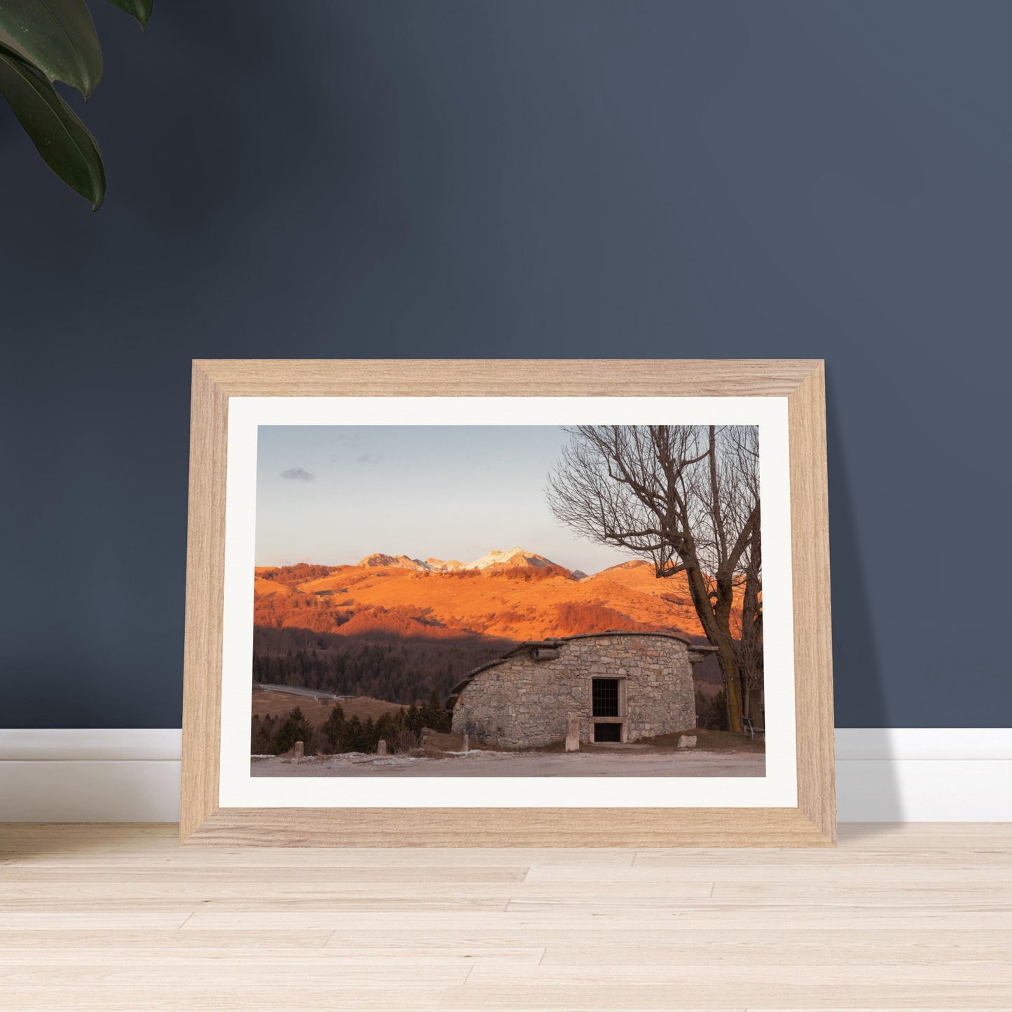 92c29736-f662-4e83-97a1-e1fbdc54753d