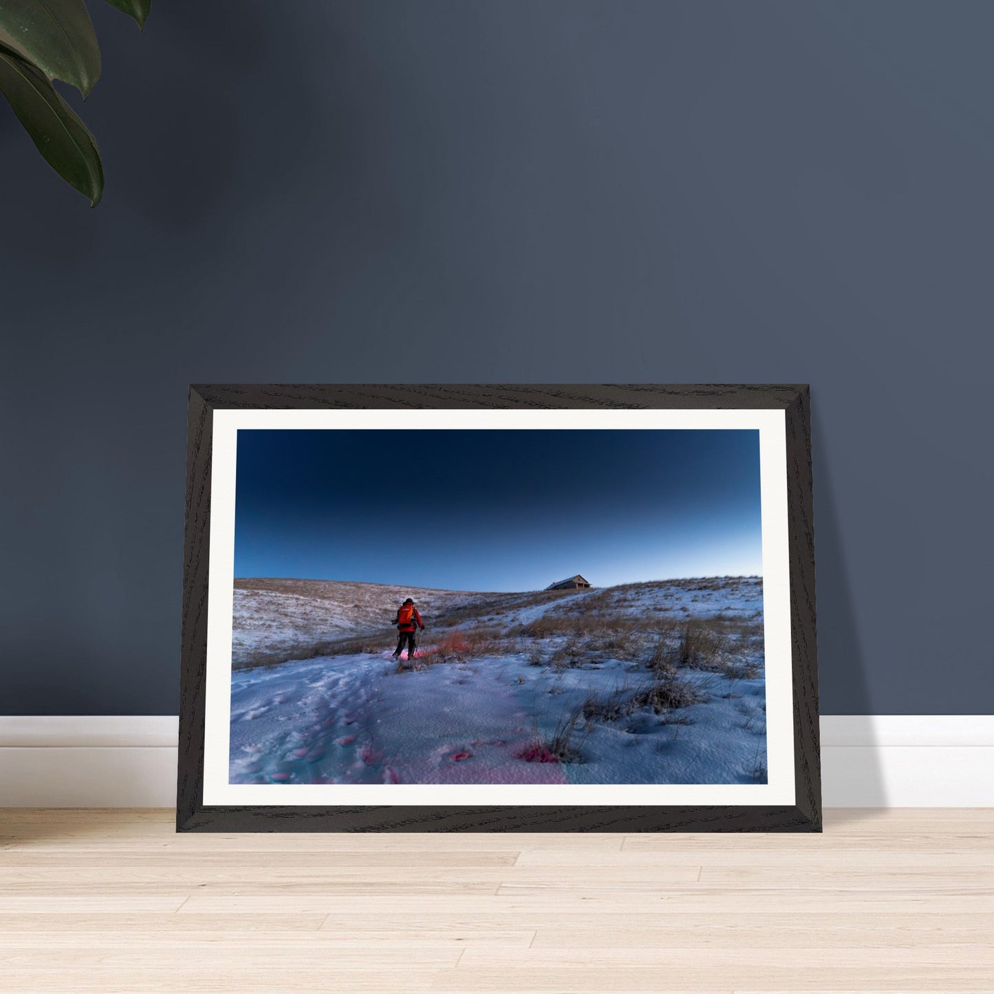 98c299ed-537f-4582-bb81-5fac47016448