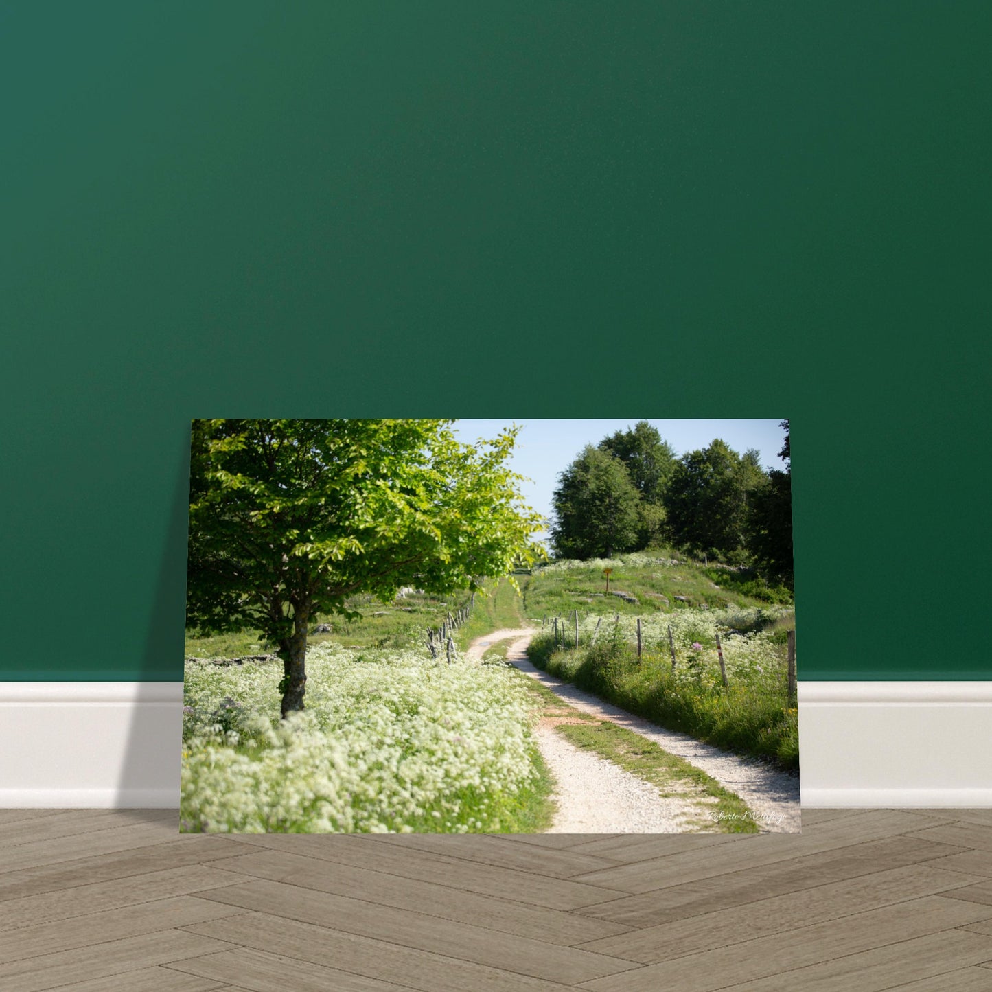 9d9170bb-70ea-4954-8c34-d3f221c20d7f