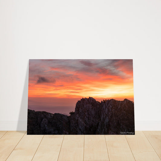 a03235e8-bc58-494b-8d29-83a0fc8af92c