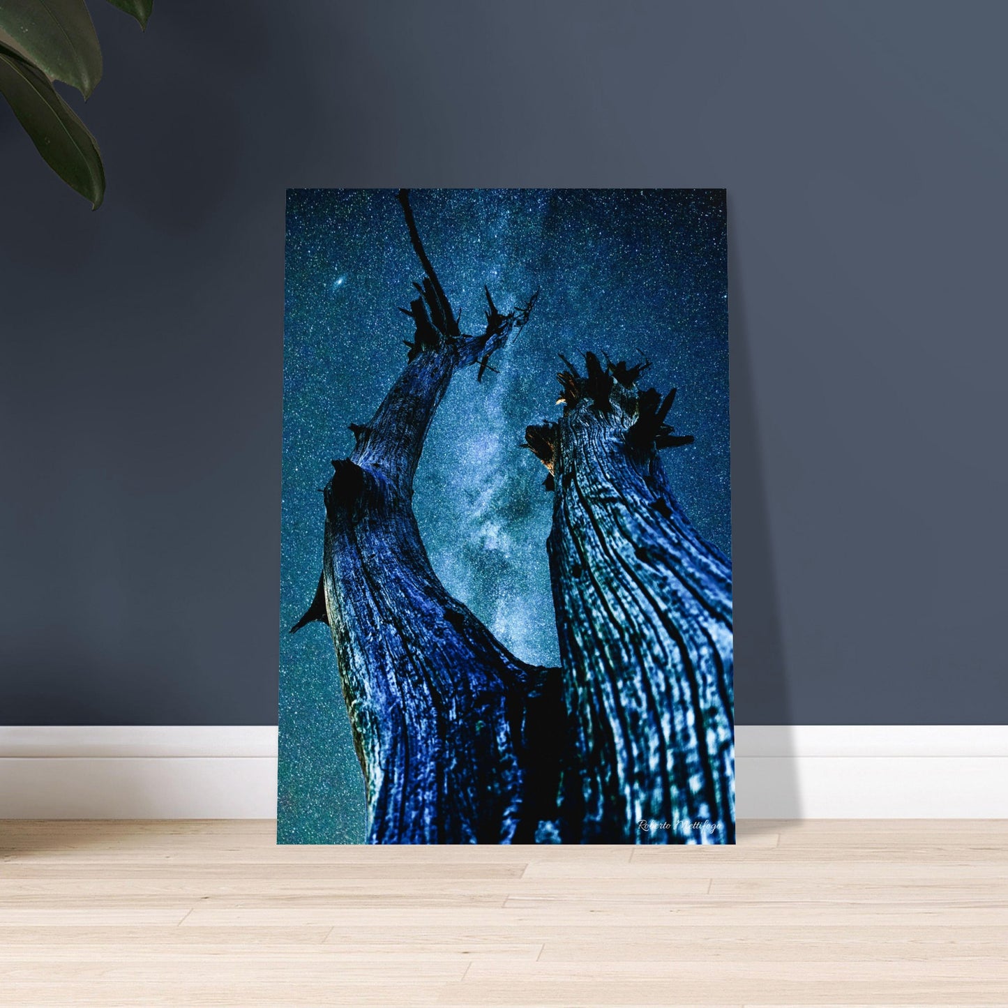 a2a8db7b-9639-4be7-91a6-ce27a5d880be