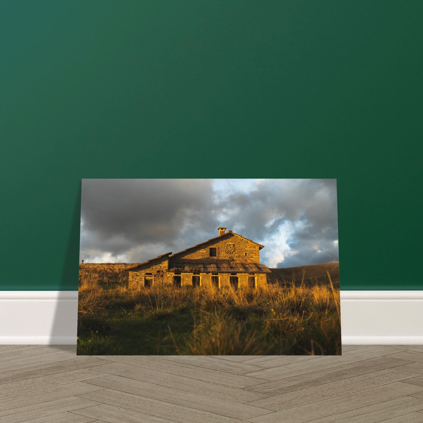 a2d5ac7f-f5a5-4fa6-9445-5c77f97eb68f