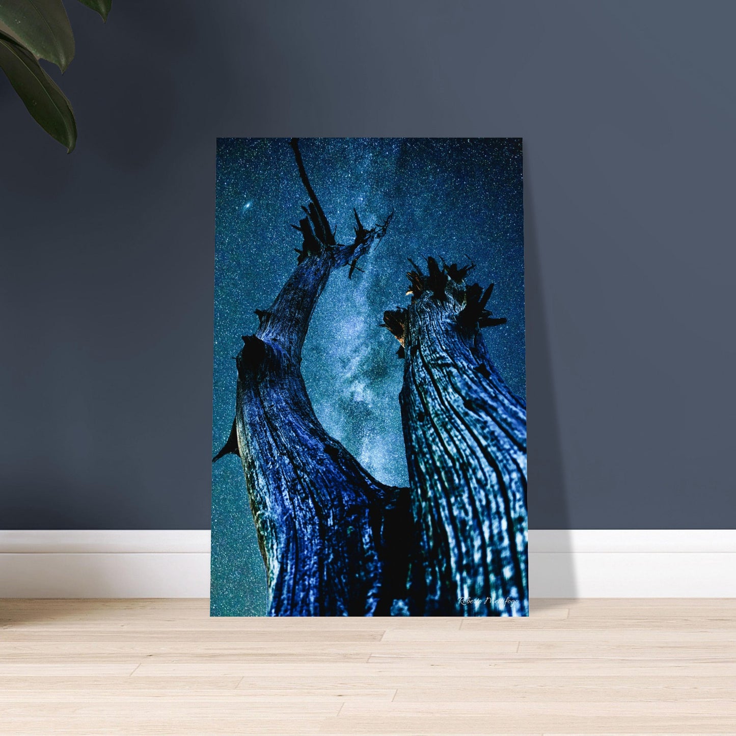 aa22537f-ce25-4e24-ae22-d7bf161de958