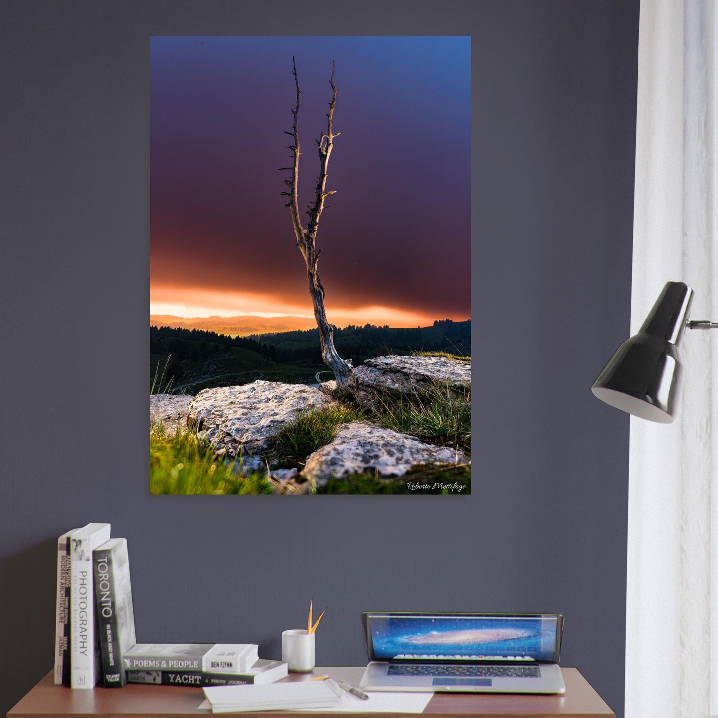 b250e319-ceec-484a-9065-49324cfd44fd