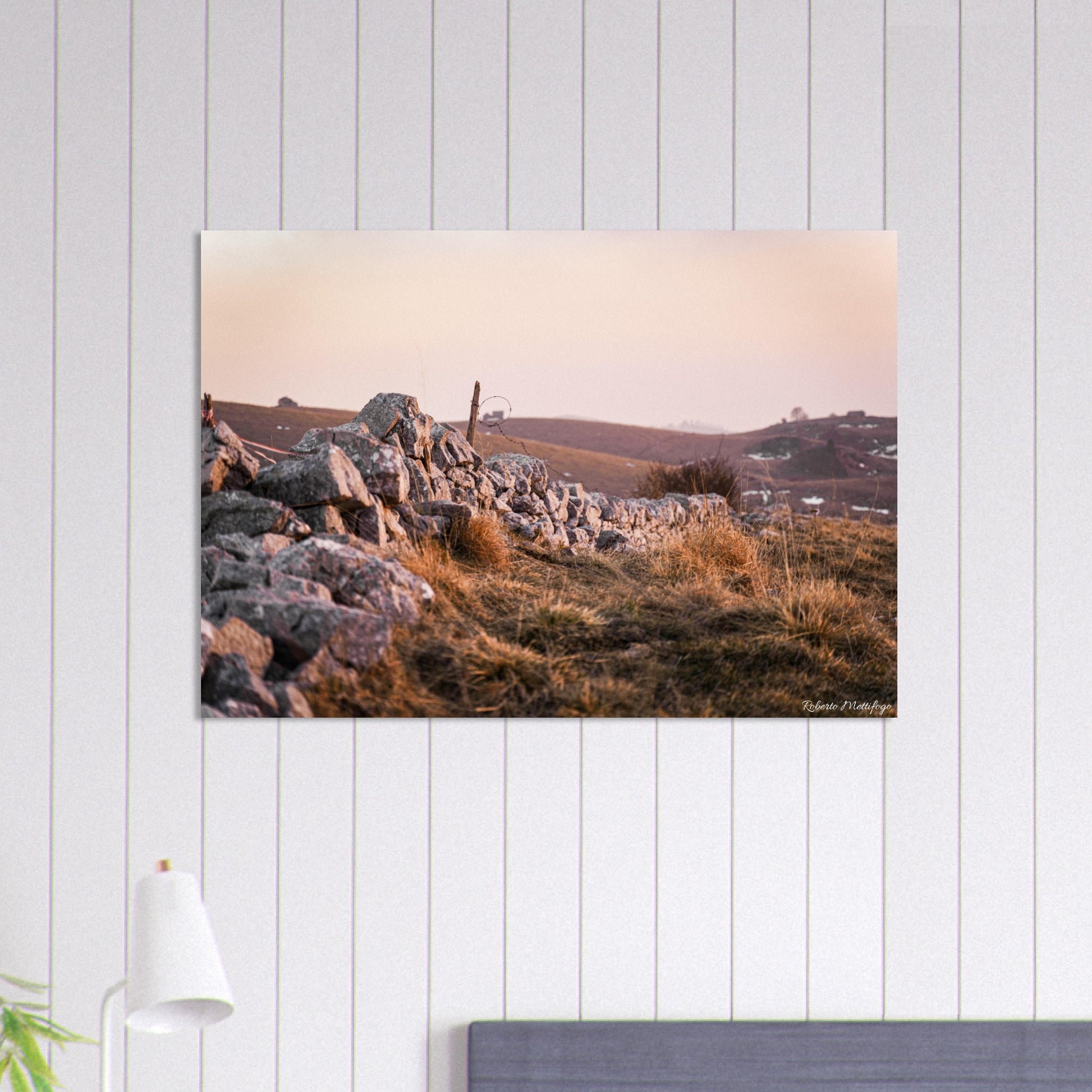 b280971a-abcc-494e-9c4b-8412bd49003d