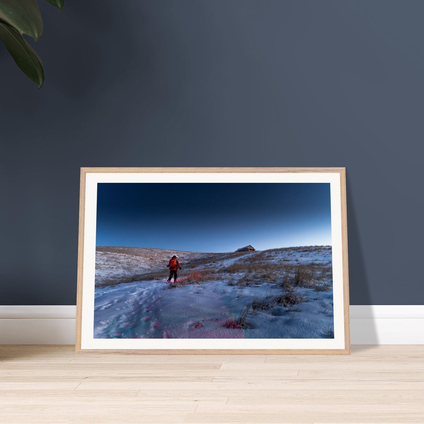 b2b7d419-bfb3-4b9c-ab50-798cf42a9a04