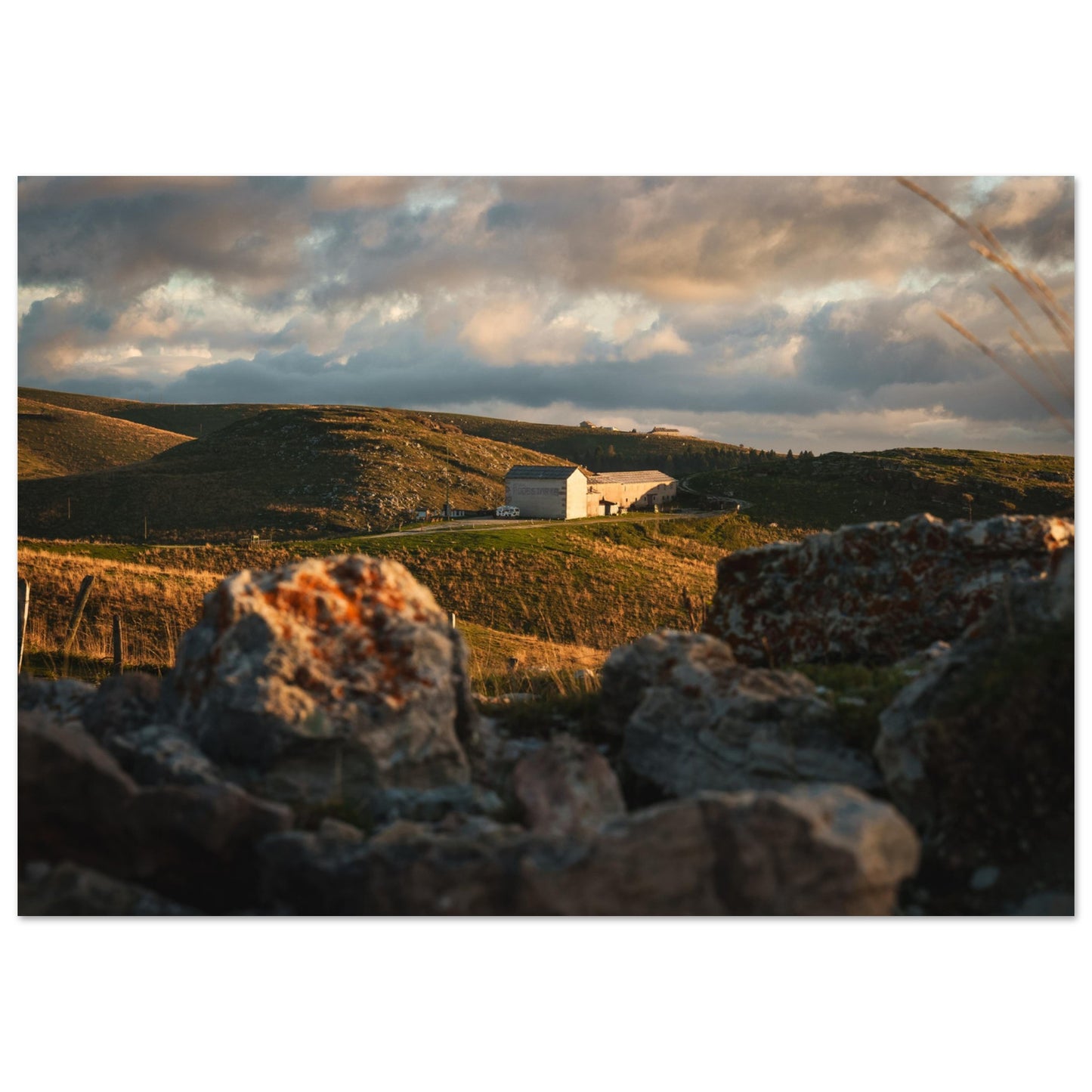 bfb9e3fc-d5b4-4f13-bb71-893110a053e2