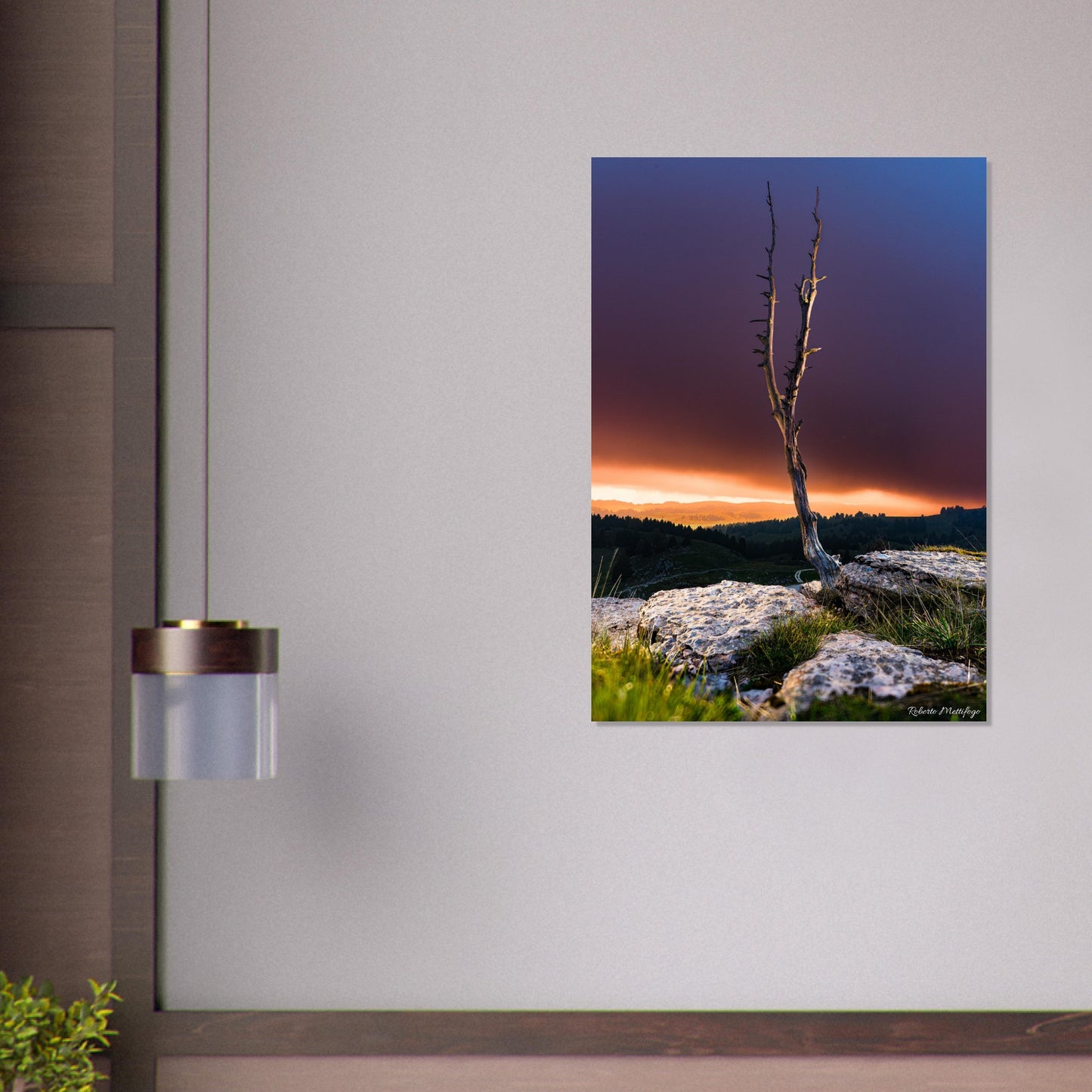 c0f9c20b-f903-45fb-b831-fd63310b2b9b