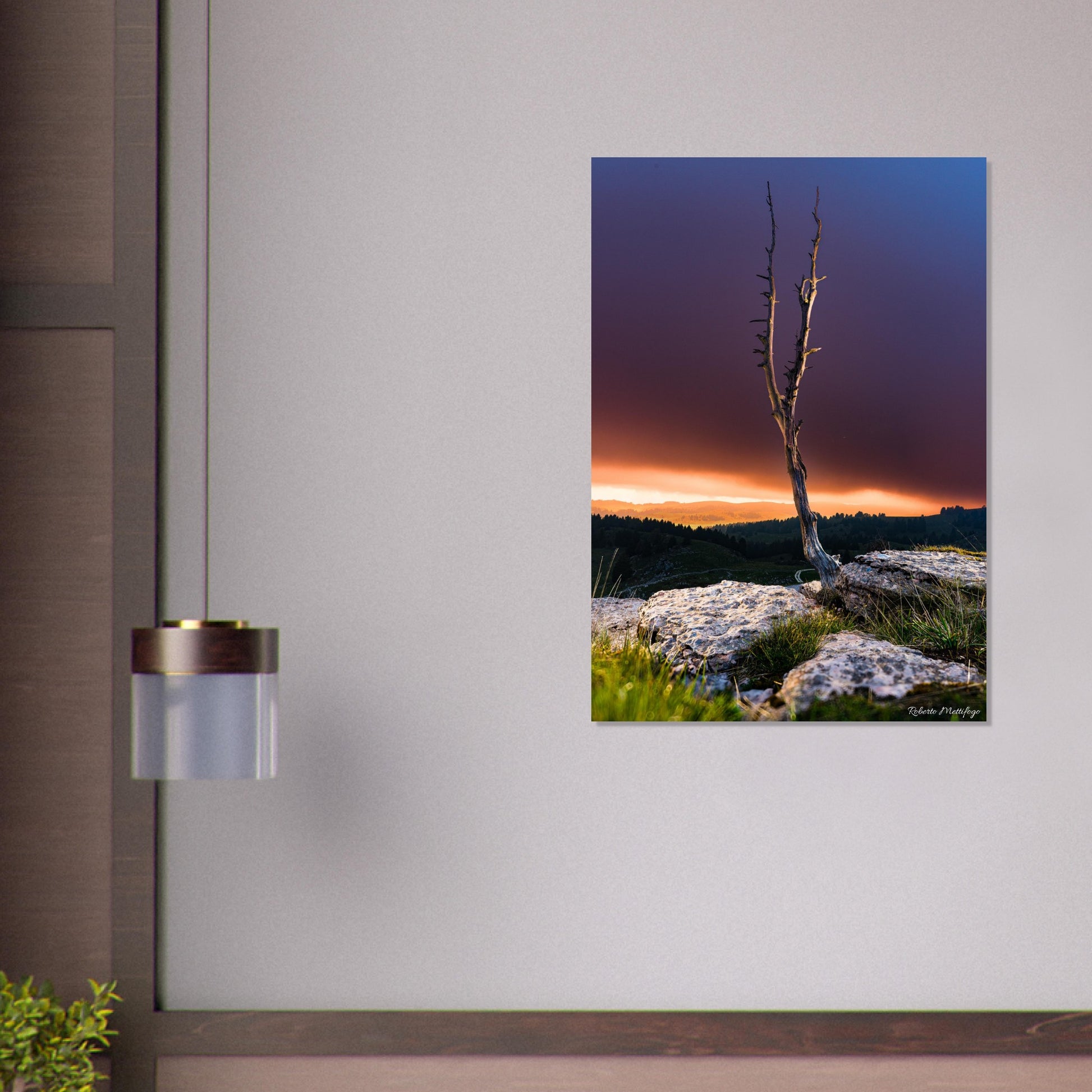 c0f9c20b-f903-45fb-b831-fd63310b2b9b