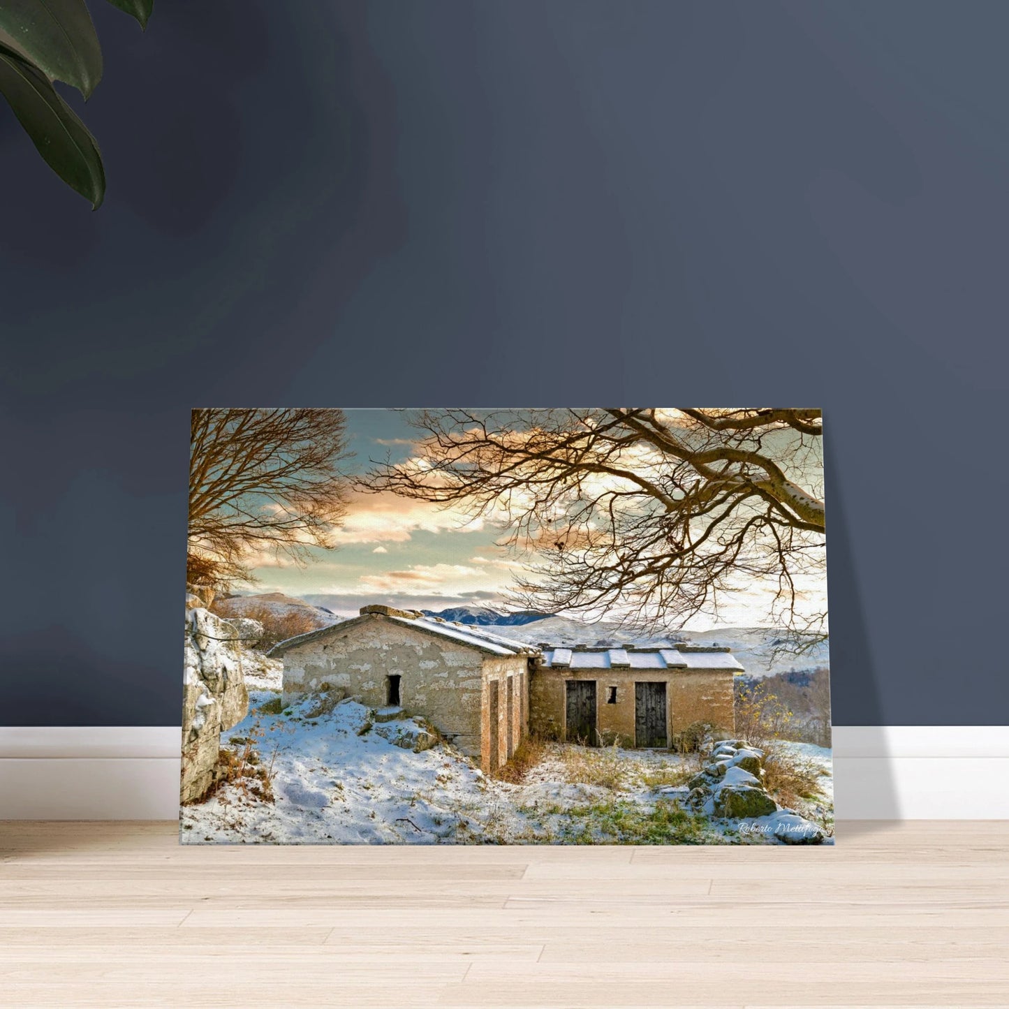 c8d8e0ae-b880-4d37-a4ed-330ff539d648