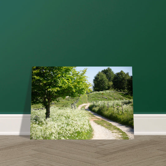 c9595f09-ffcc-4595-8d1a-bf619242f90c