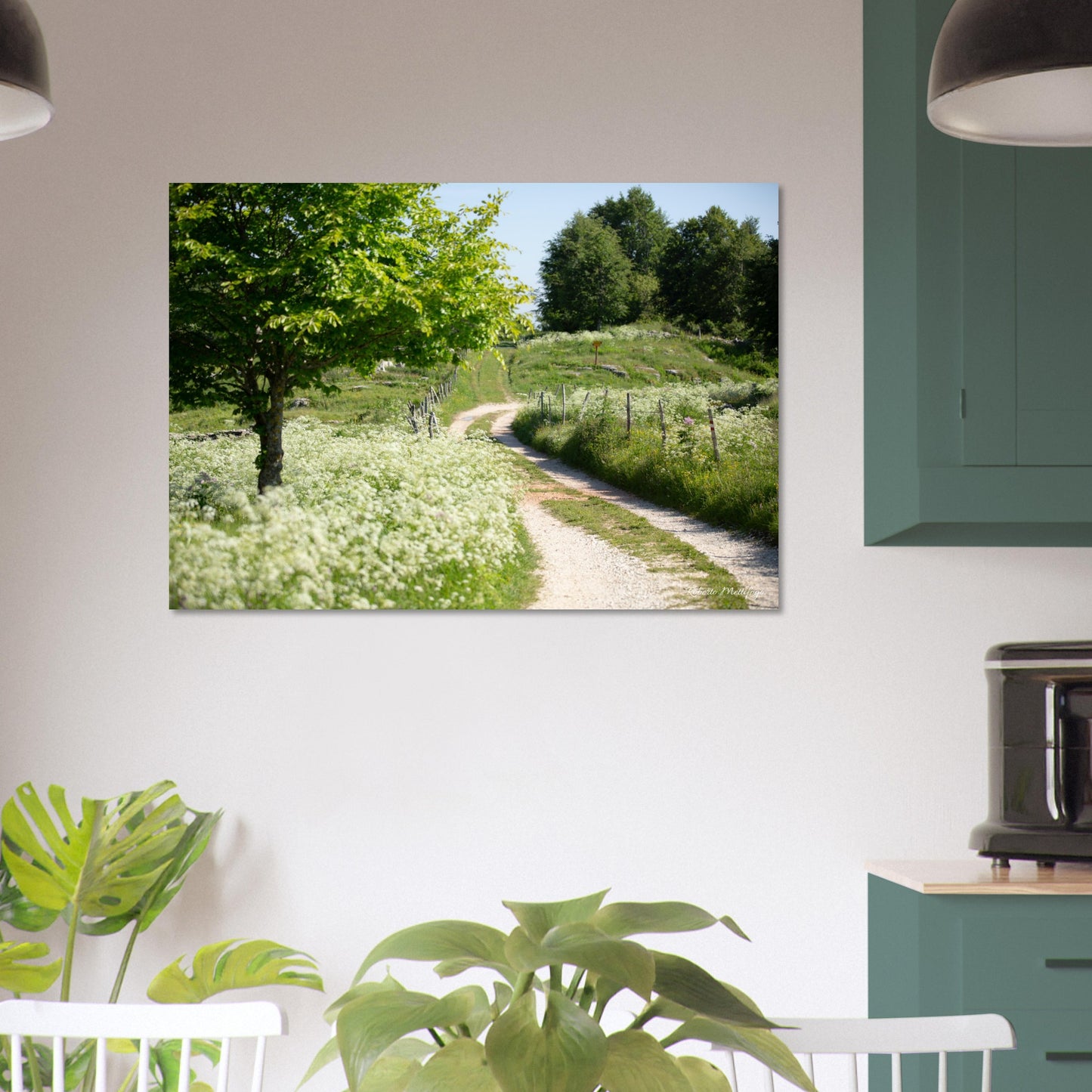 d07b54b4-923f-4fbd-8b7d-1420480f9105