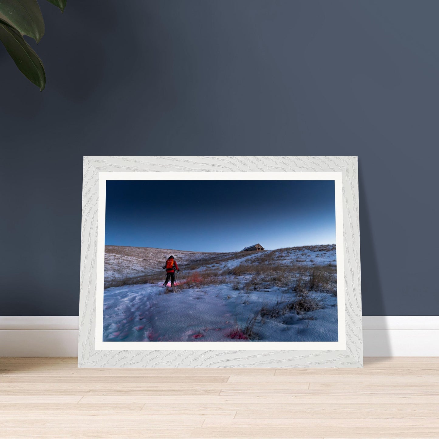 d714529e-5f82-4cc6-991c-717a0b094c03