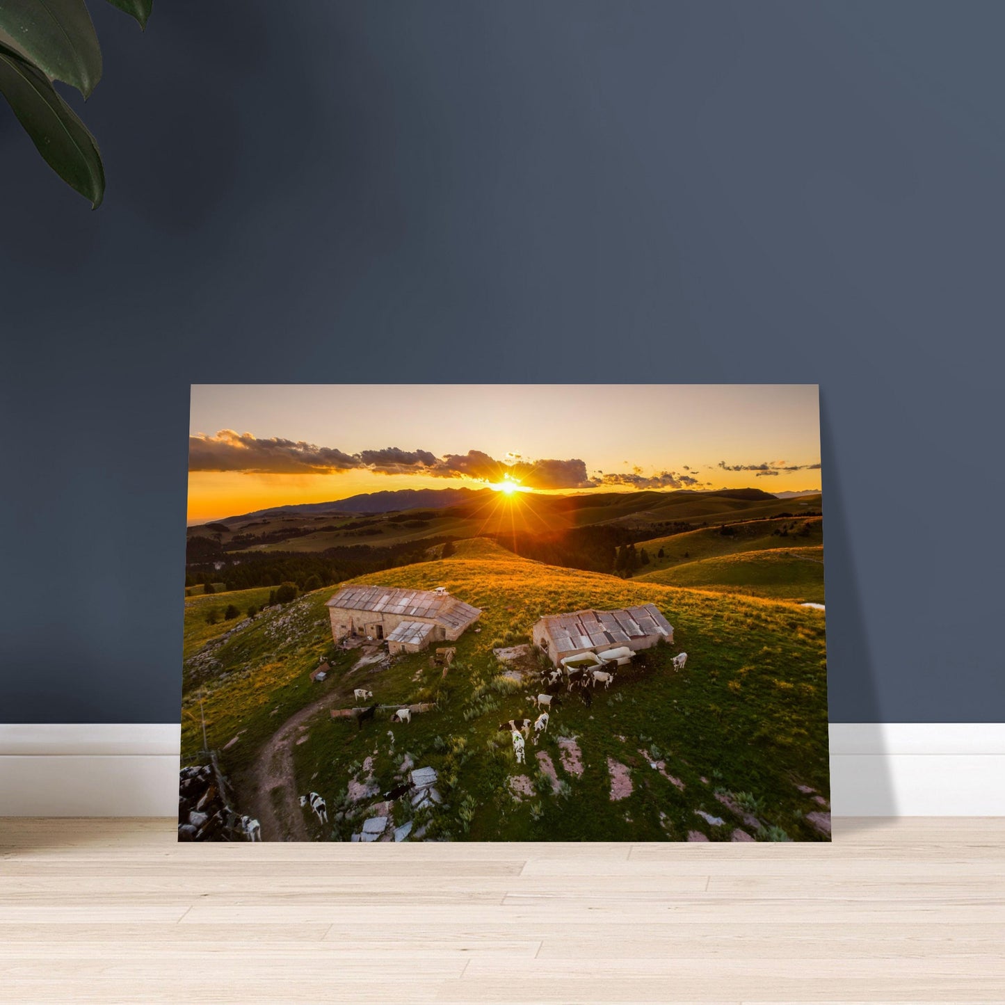 e01fcabe-bc5a-47a0-bd47-20db4e6c1ff9